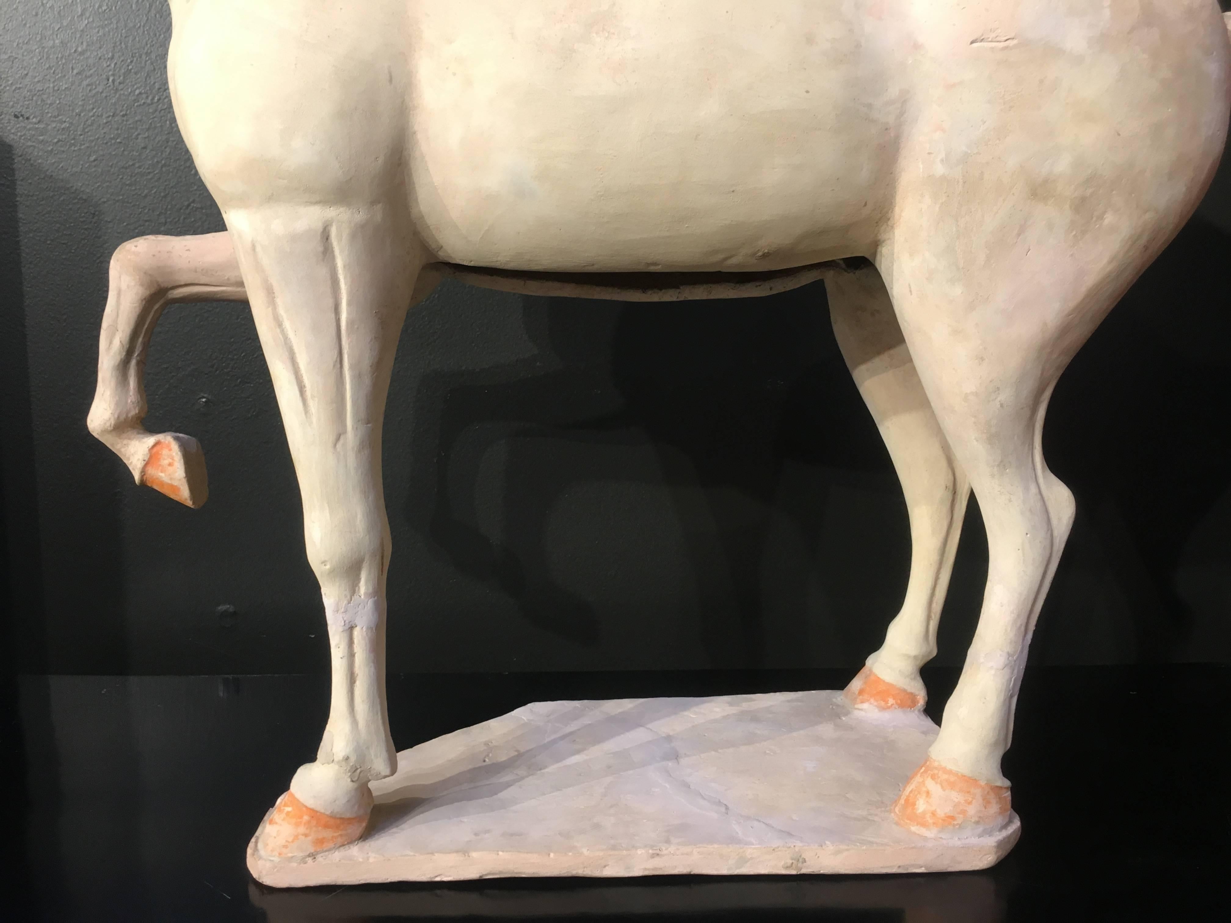 Poteries Grand modèle de poterie peinte du début de la dynastie Tang représentant un cheval cabré, testé TL en vente