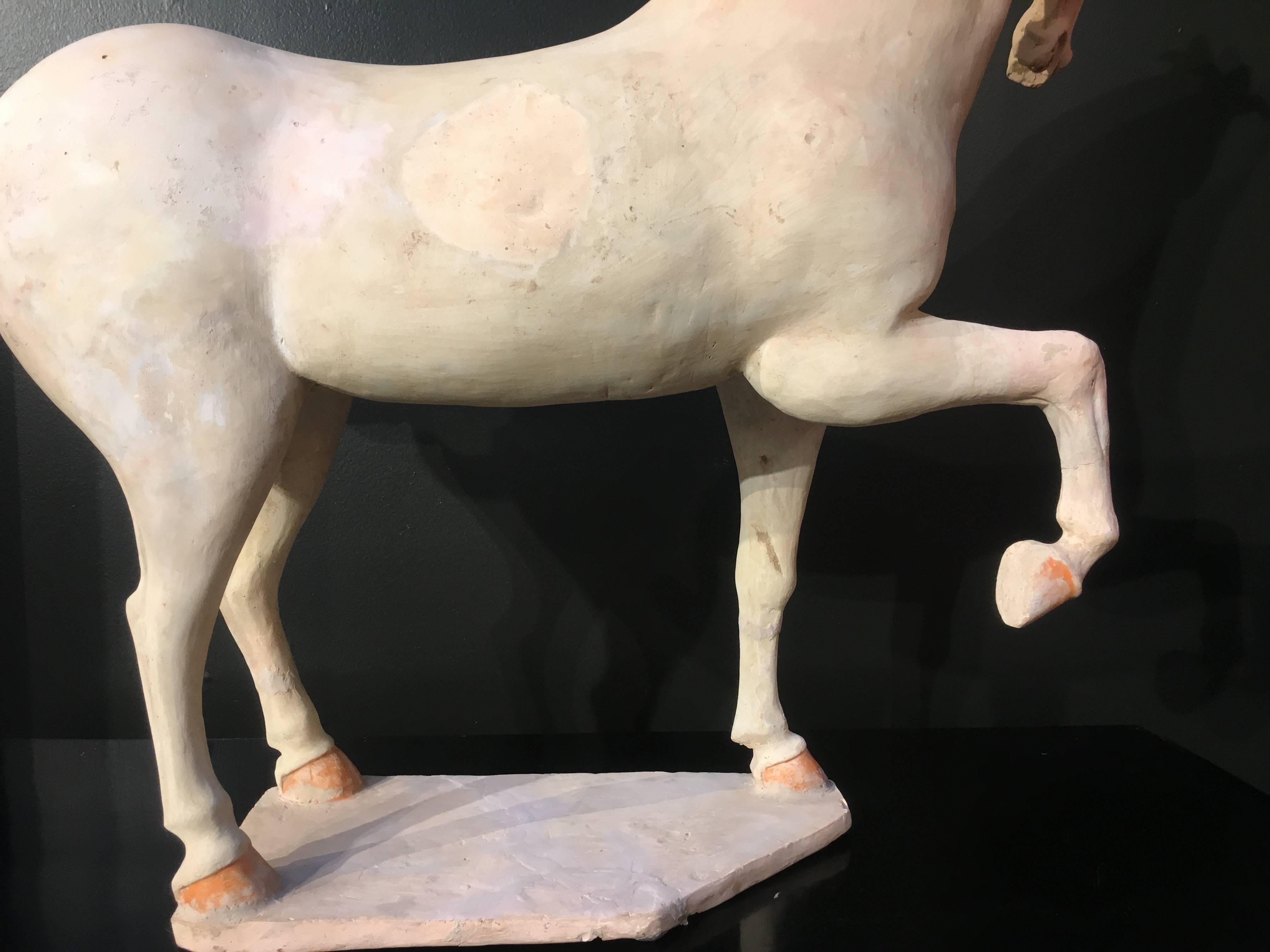 Grand modèle de poterie peinte du début de la dynastie Tang représentant un cheval cabré, testé TL en vente 3