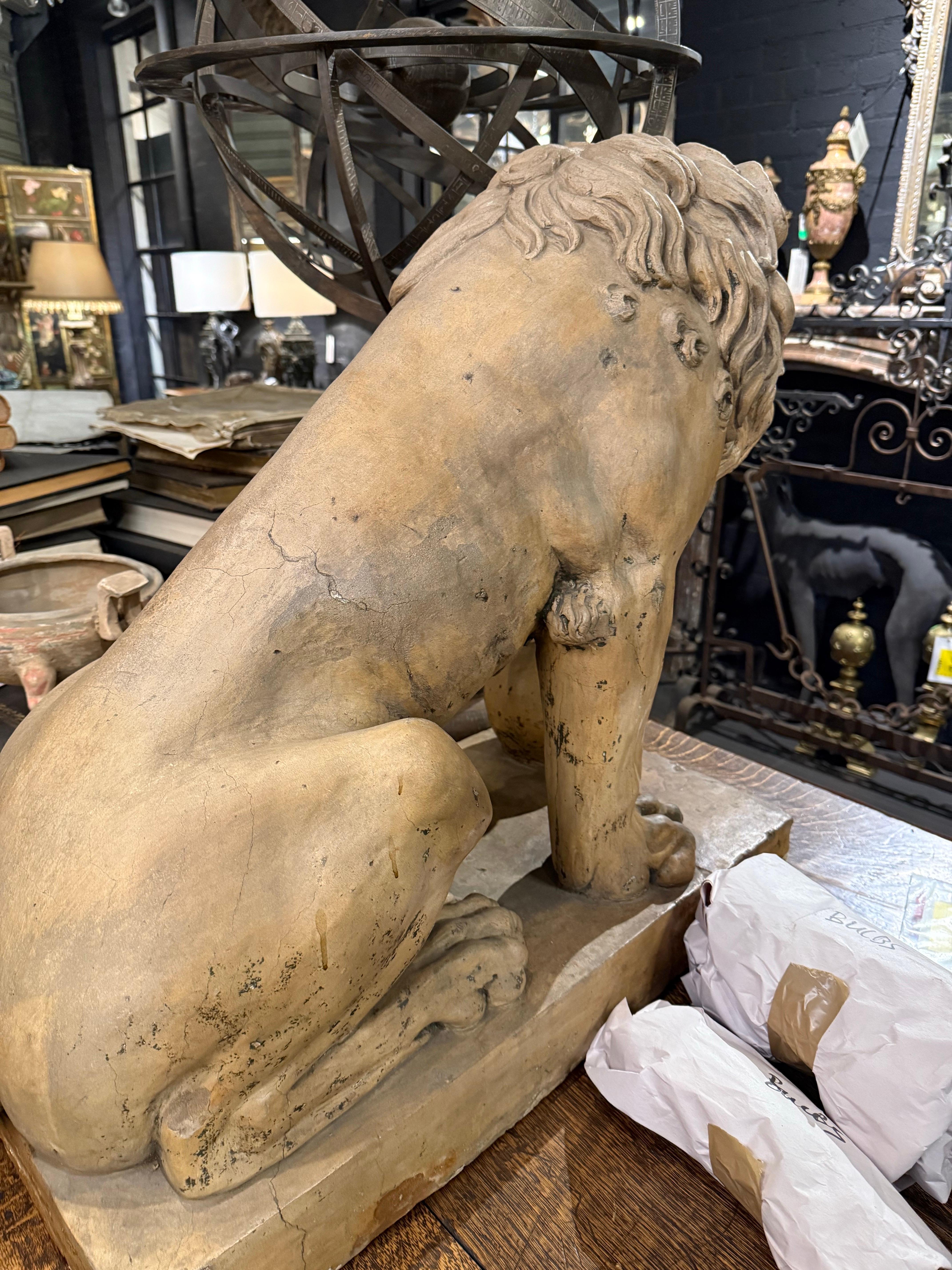 A Superb Terracotta Lion, French 18th century For Sale 2