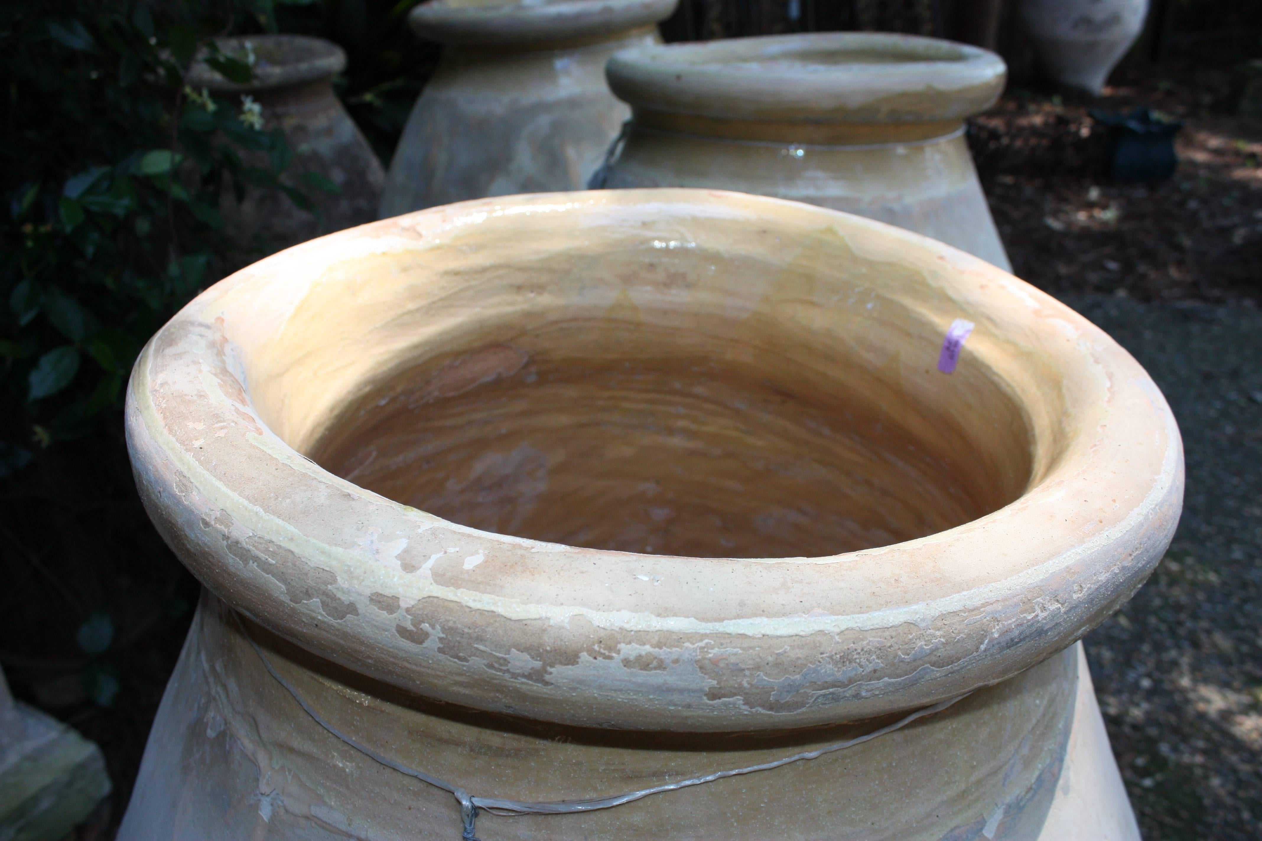 Early 19th Century Biot Olive Jar In Excellent Condition In Fairhope, AL