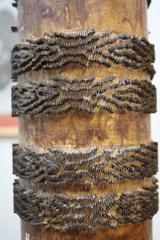 Wallpaper Roller Lamp