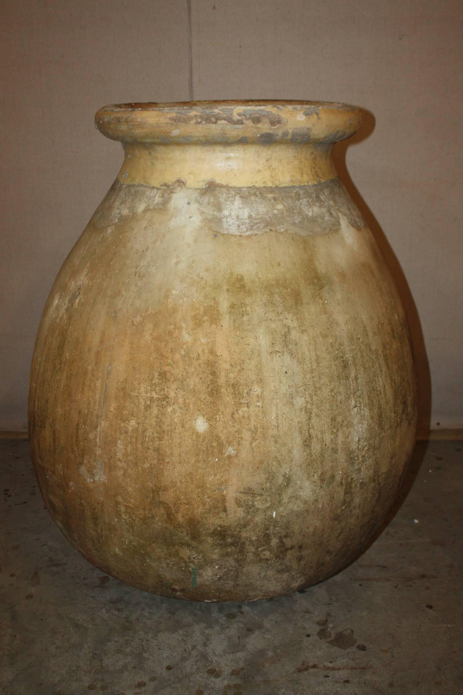 Early 19th Century Large French Biot Olive Jar 2