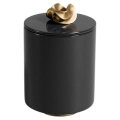 Saffron Round Container Black in Lacquer Wood & Brass, Viya By Vikram Goyal