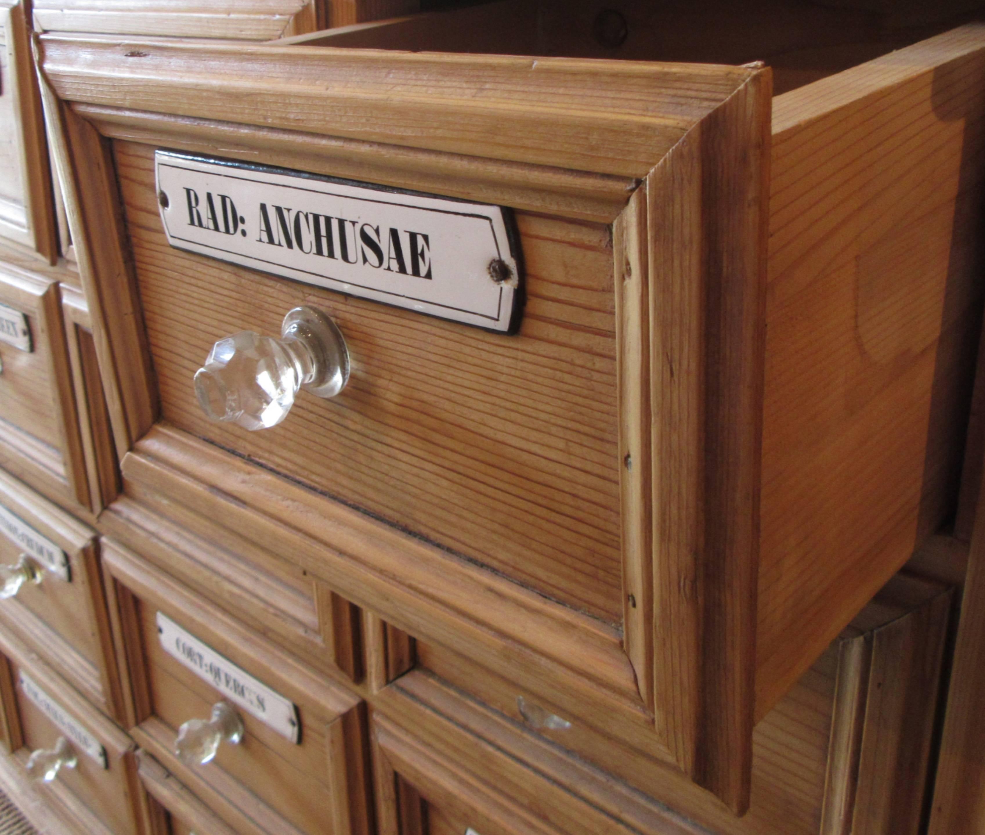 Unknown Pine Apothecary Cupboard with Enamel Labelled Drawers