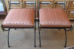 Pair of Neoclassical Curule Stool with Brass Swans