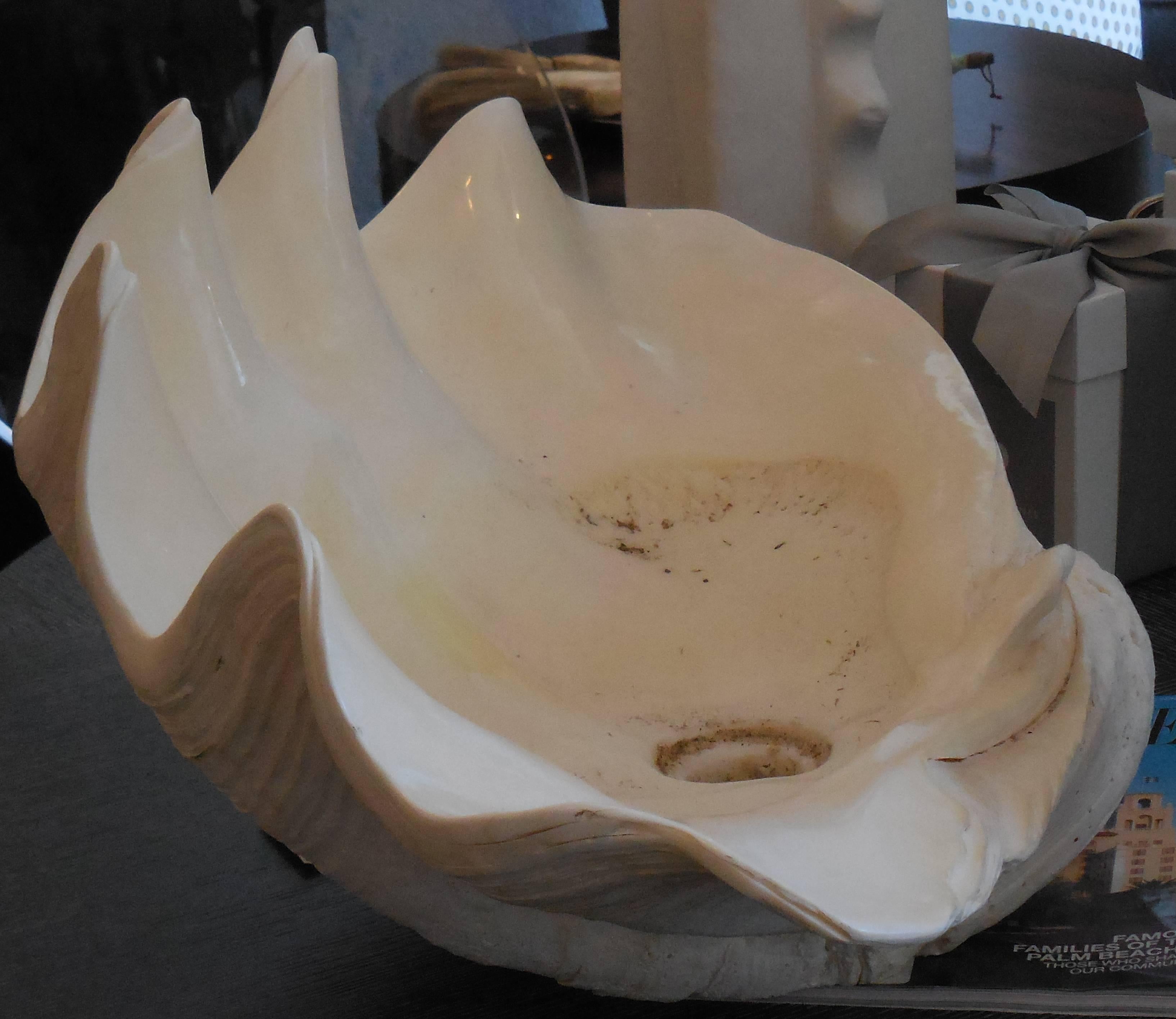 Large elegant natural clam shell customized and modified to use as a sink. It was used in big estate in Palm Beach, Fl.
One-of-a-kind piece.