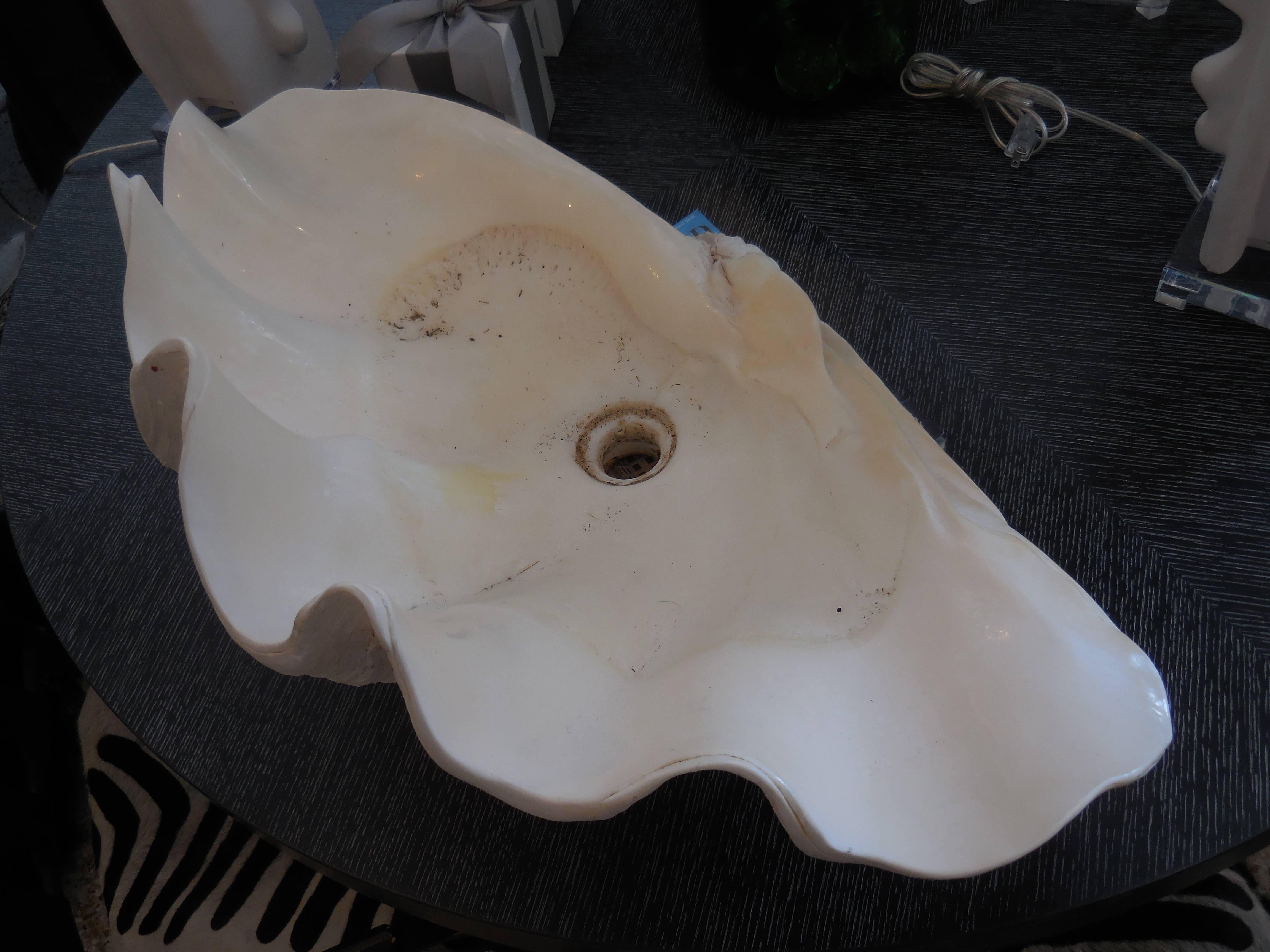 Large Natural Sink Clam Shell In Excellent Condition In Delray Beach, FL