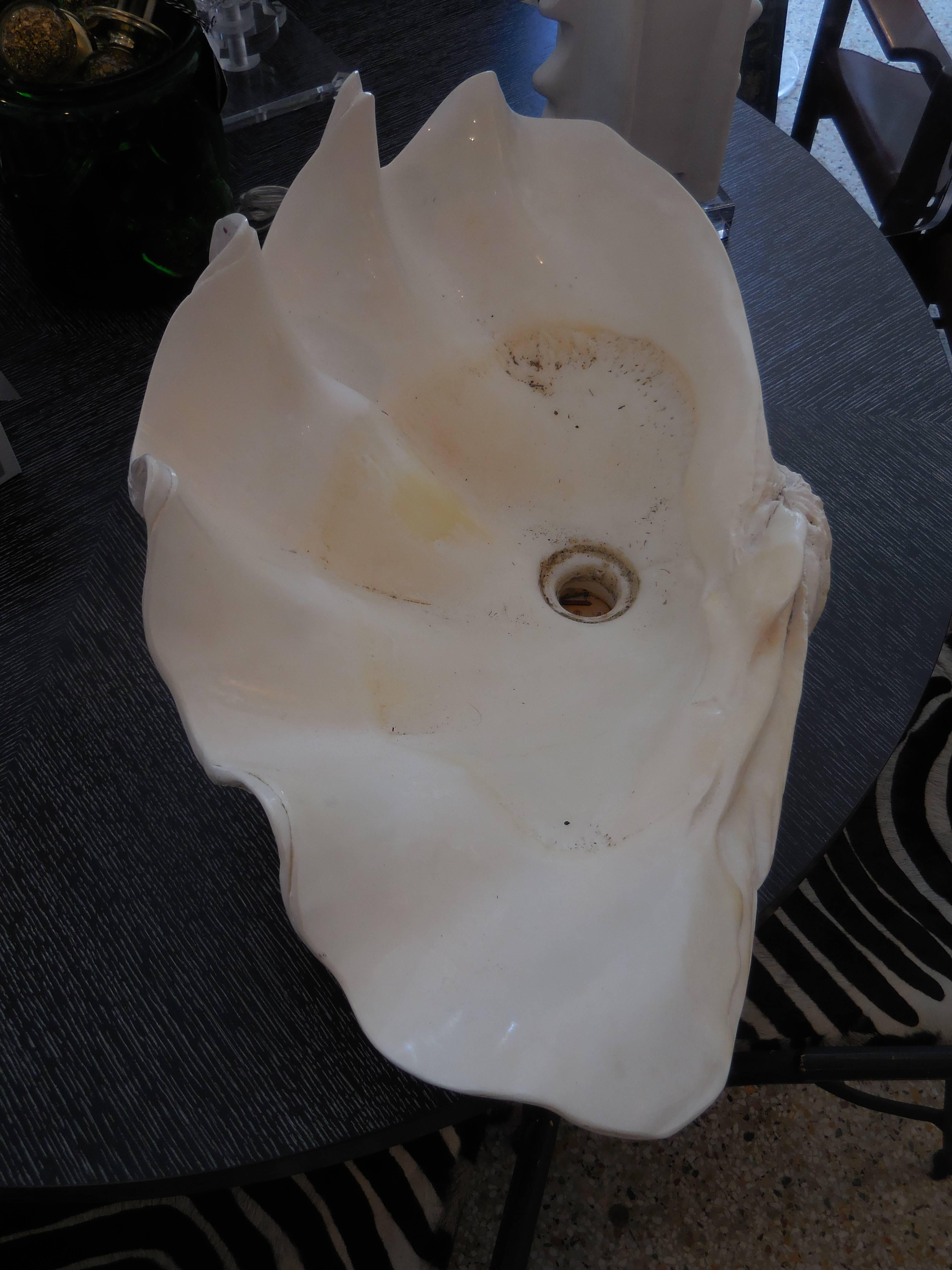 20th Century Large Natural Sink Clam Shell