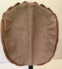Natural Frash Water Turtle Shell