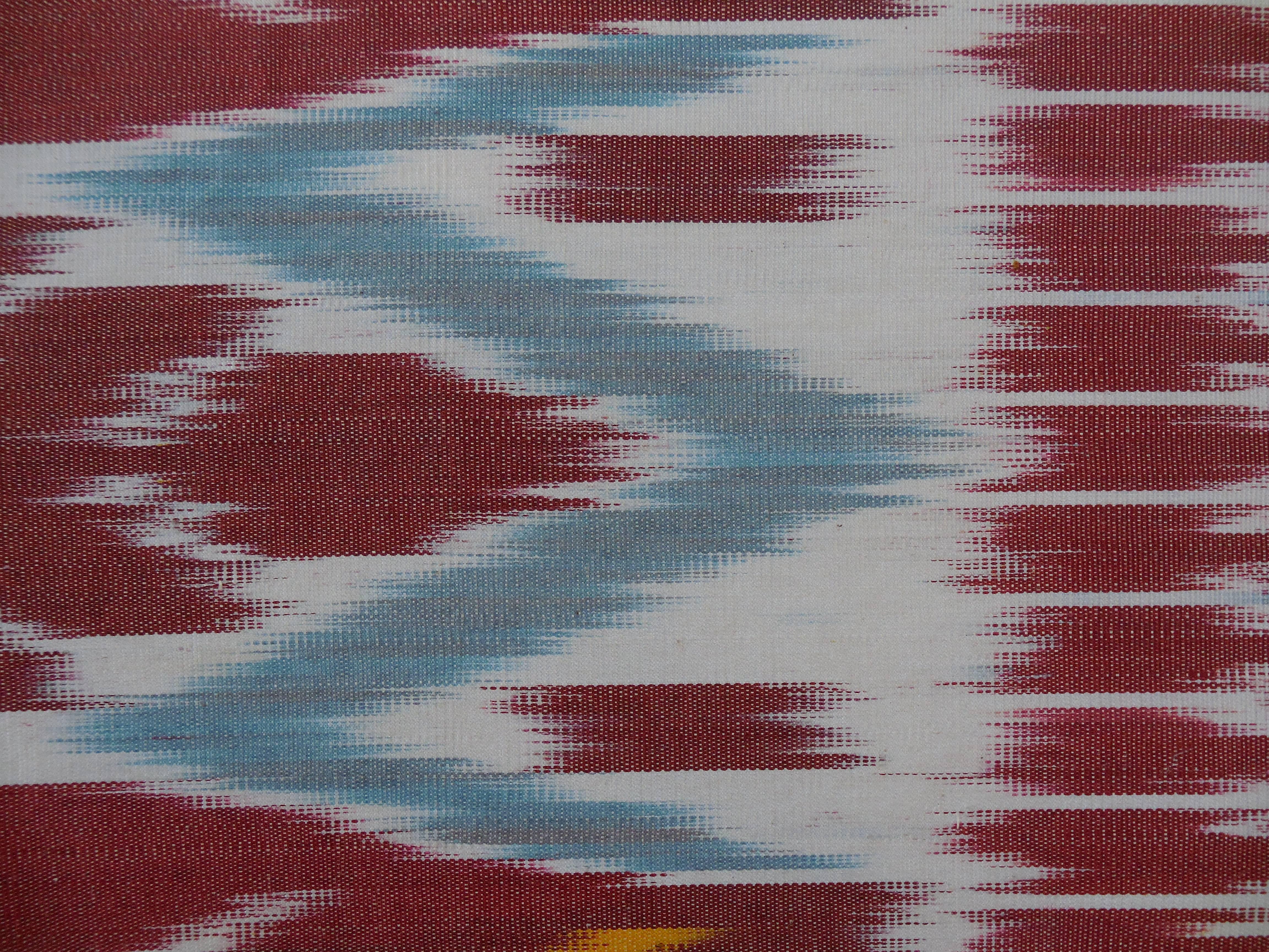 Cotton Pair of Colorful Ikat Pillows