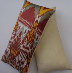 Pair of Colorful Ikat Pillows