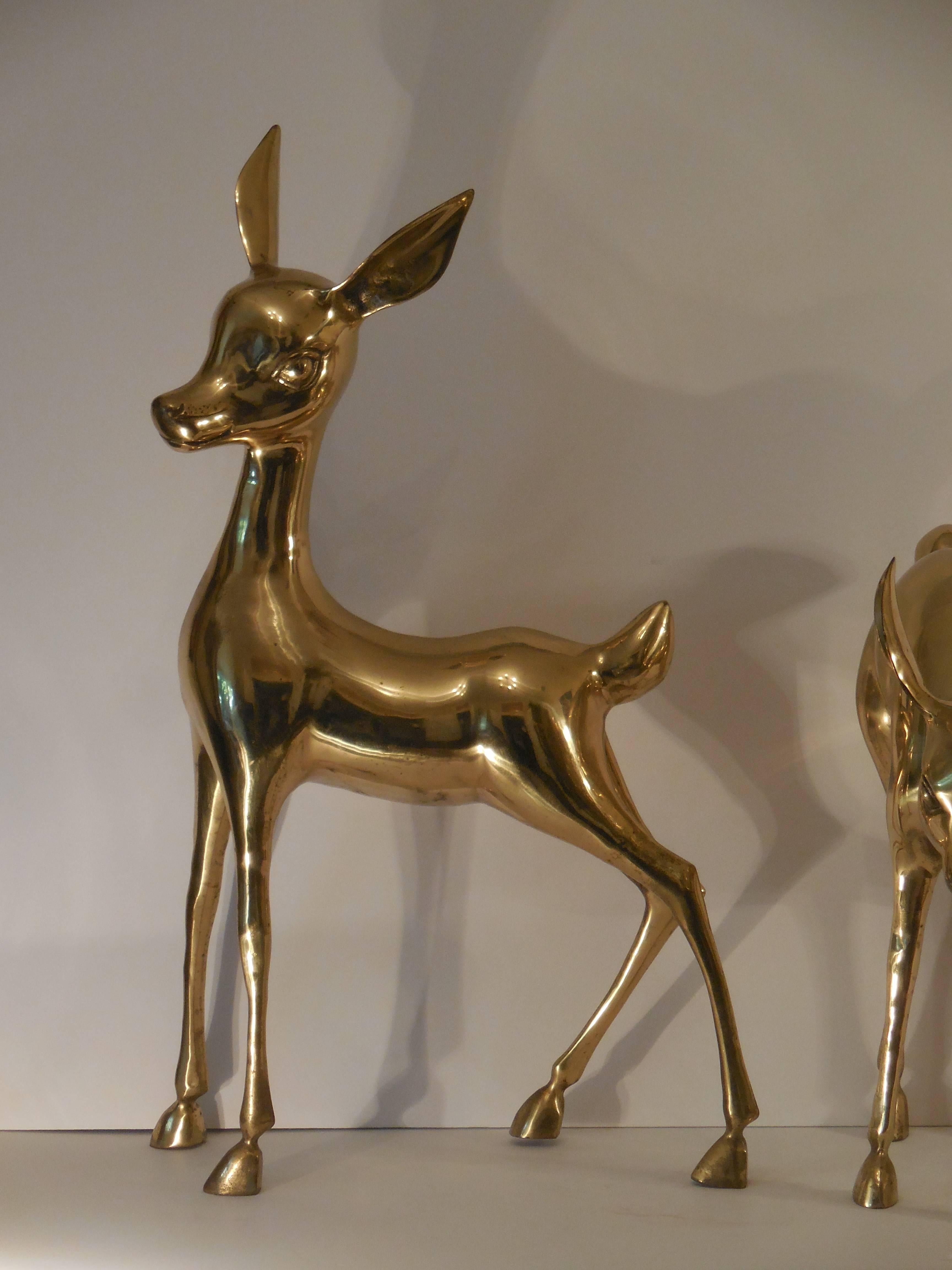 Large Pair of Brass Baby Deer 5