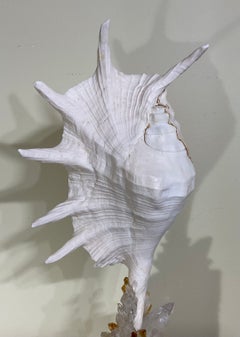 Exquisita escultura artística de concha y cristal, obra de Joseph Malekan