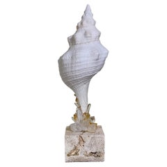 Sculpture marine et minérale réalisée à la main par Joseph Malekan