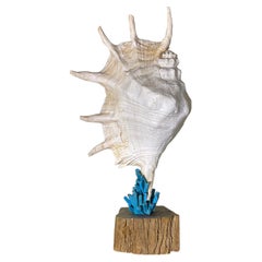 Exquisite Joseph Malekan Handcrafted Natural Element sculptures