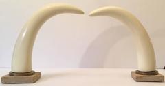 Decorative Pair of Mounted Tusk Horn