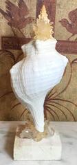 One of a Kind Sea Shell and Crystal Quartz