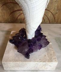 One of a Kind Sea Shell and Amethyst Crystal