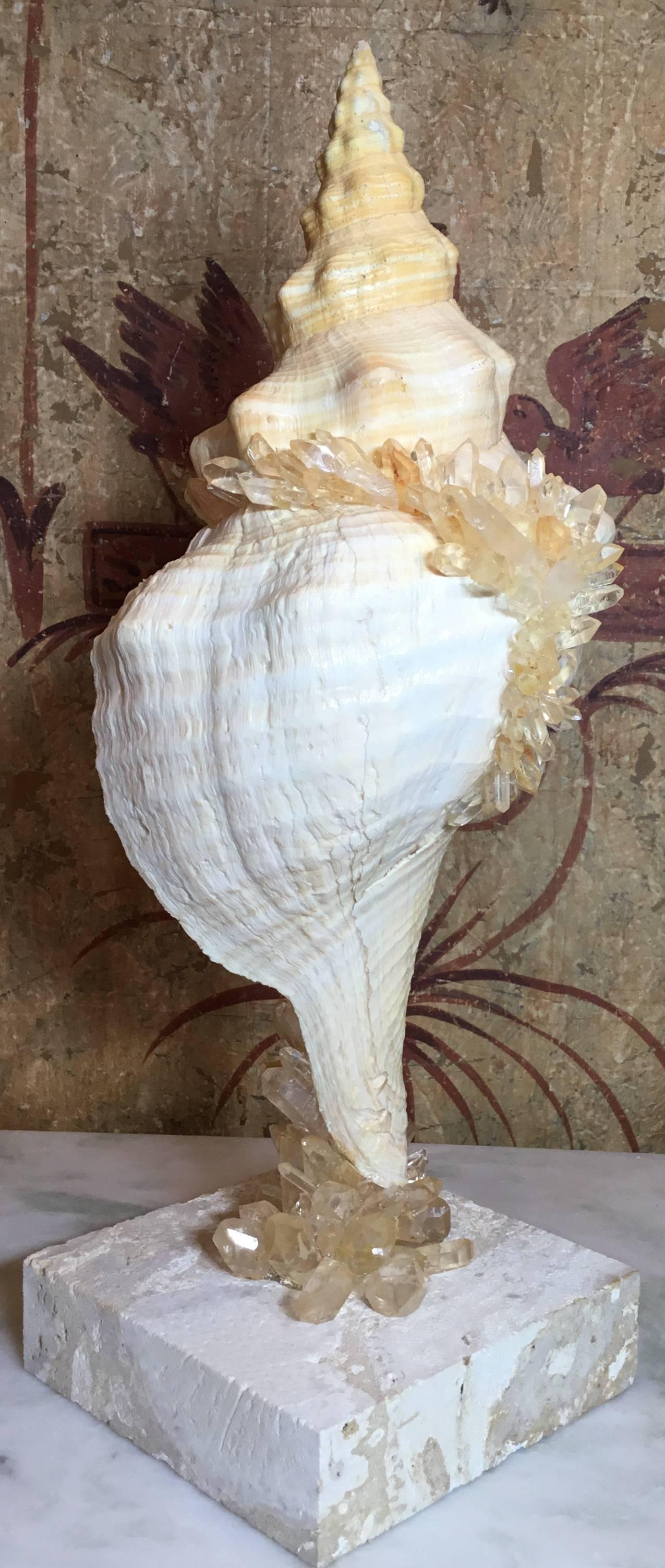 Large One of a Kind Sea Shell and Crystal In Excellent Condition In Delray Beach, FL
