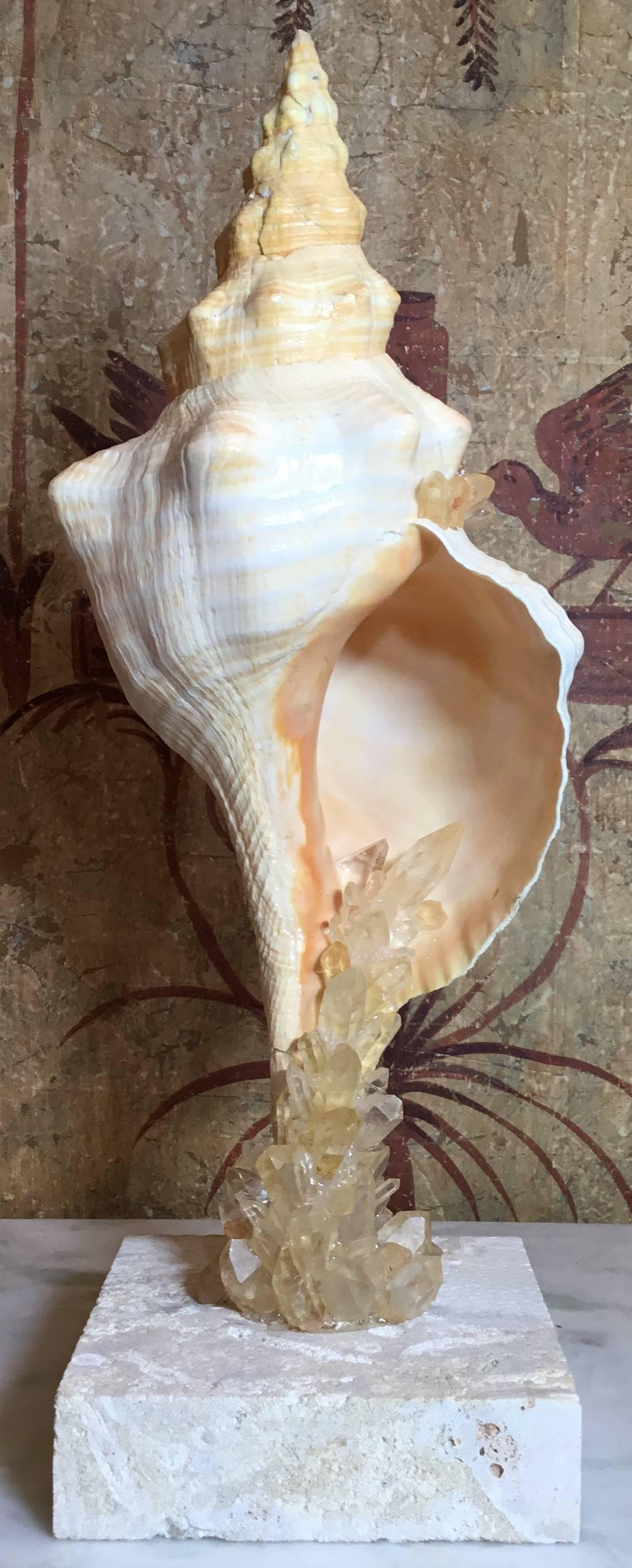 Large One of a Kind Sea Shell and Crystal 1