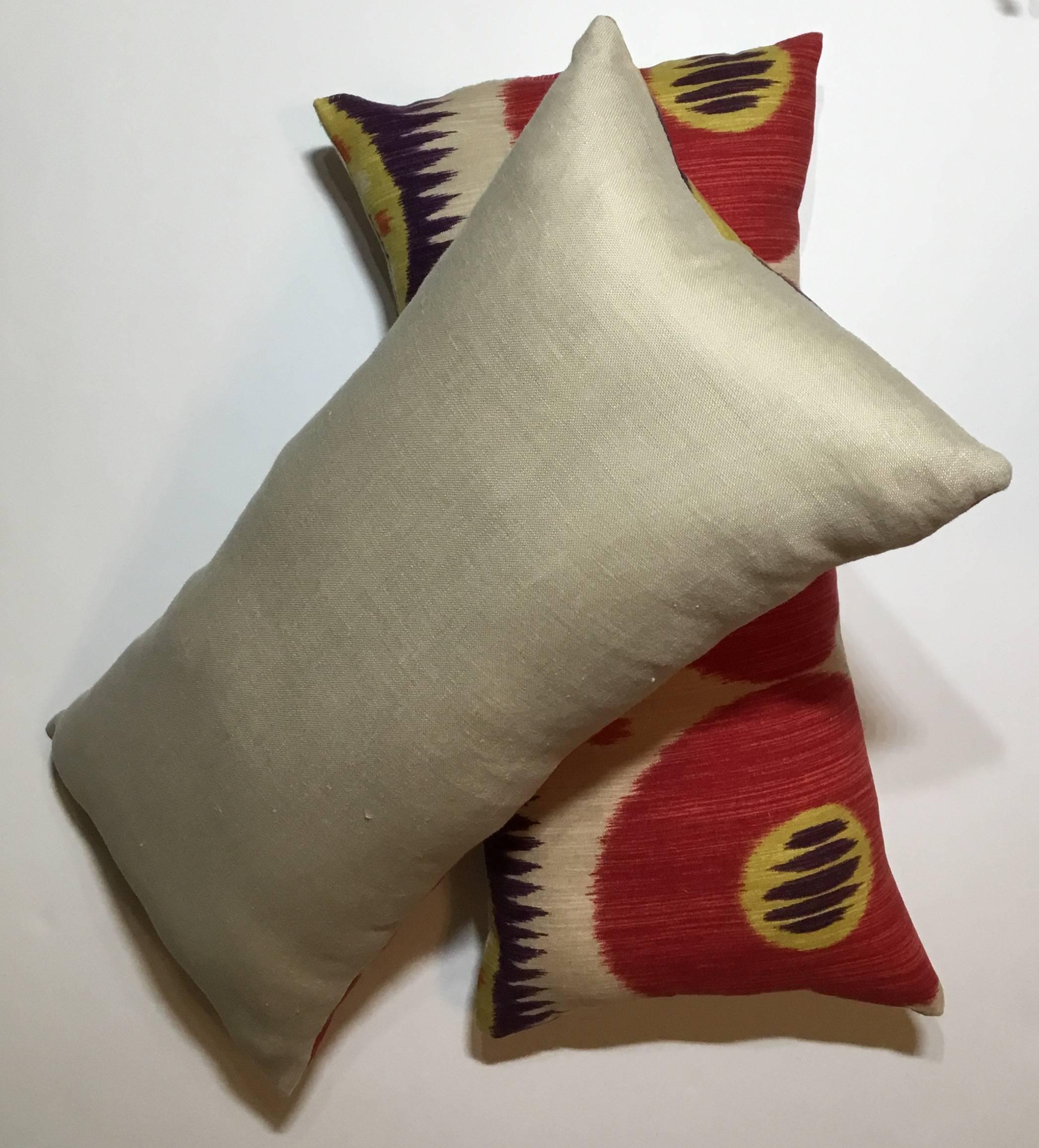 Pair of Ikat Pillows 2