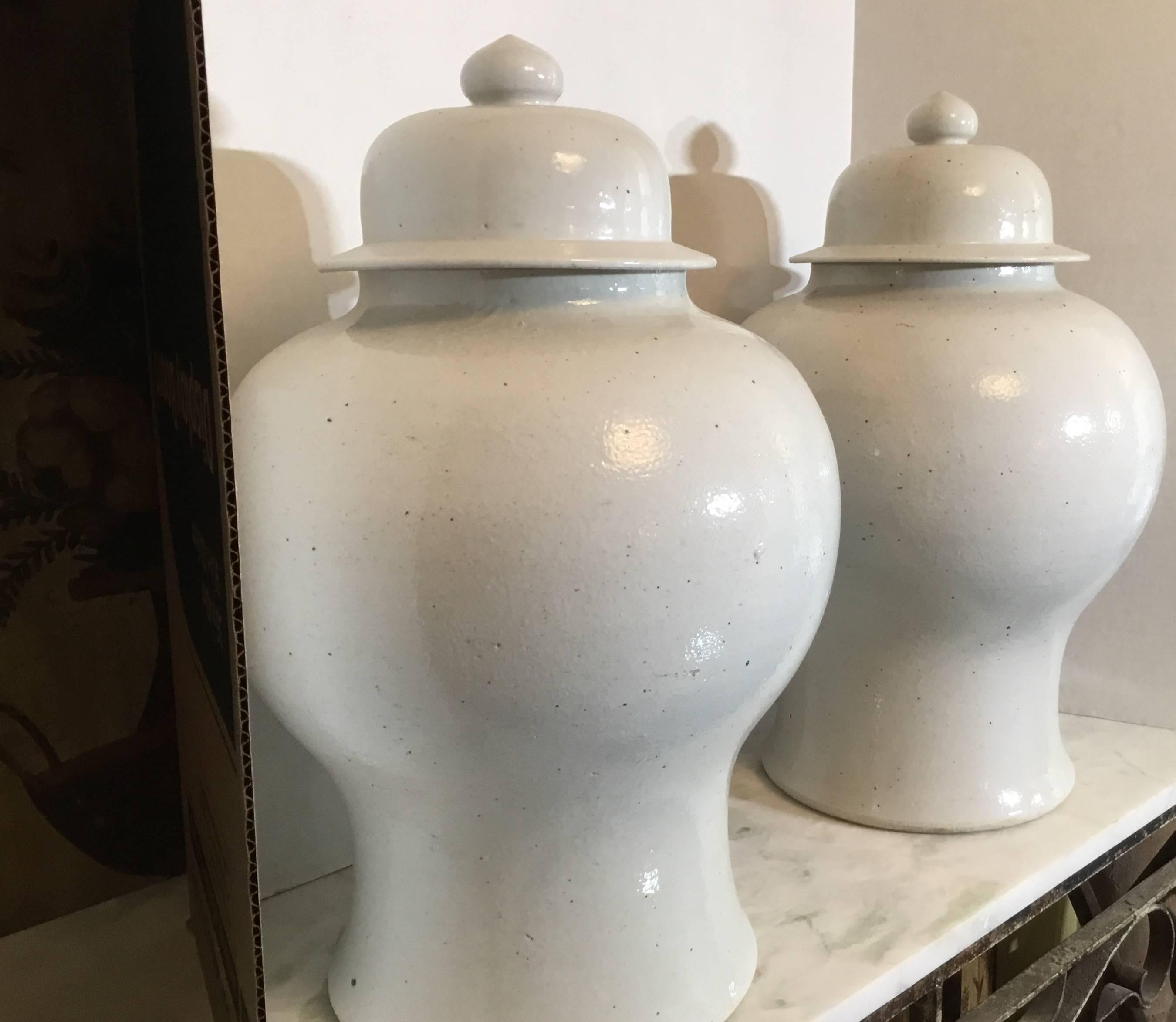 Pair of Chinese Ceramic Vases In Excellent Condition In Delray Beach, FL