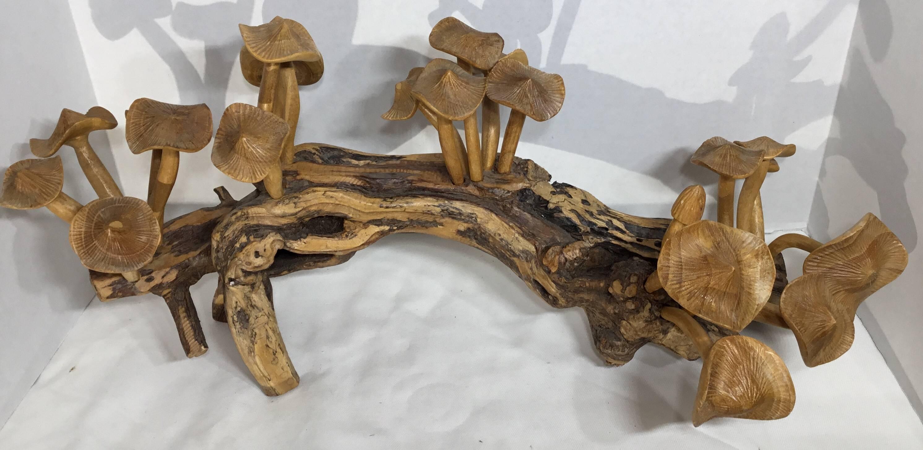 One of a kind set of hand-carved teak wood mushrooms, artistically mounted on a Elegant wood
Stem of a tree. Can be display from all sides and could even rotate some of the mushrooms.
Great display of object of art.