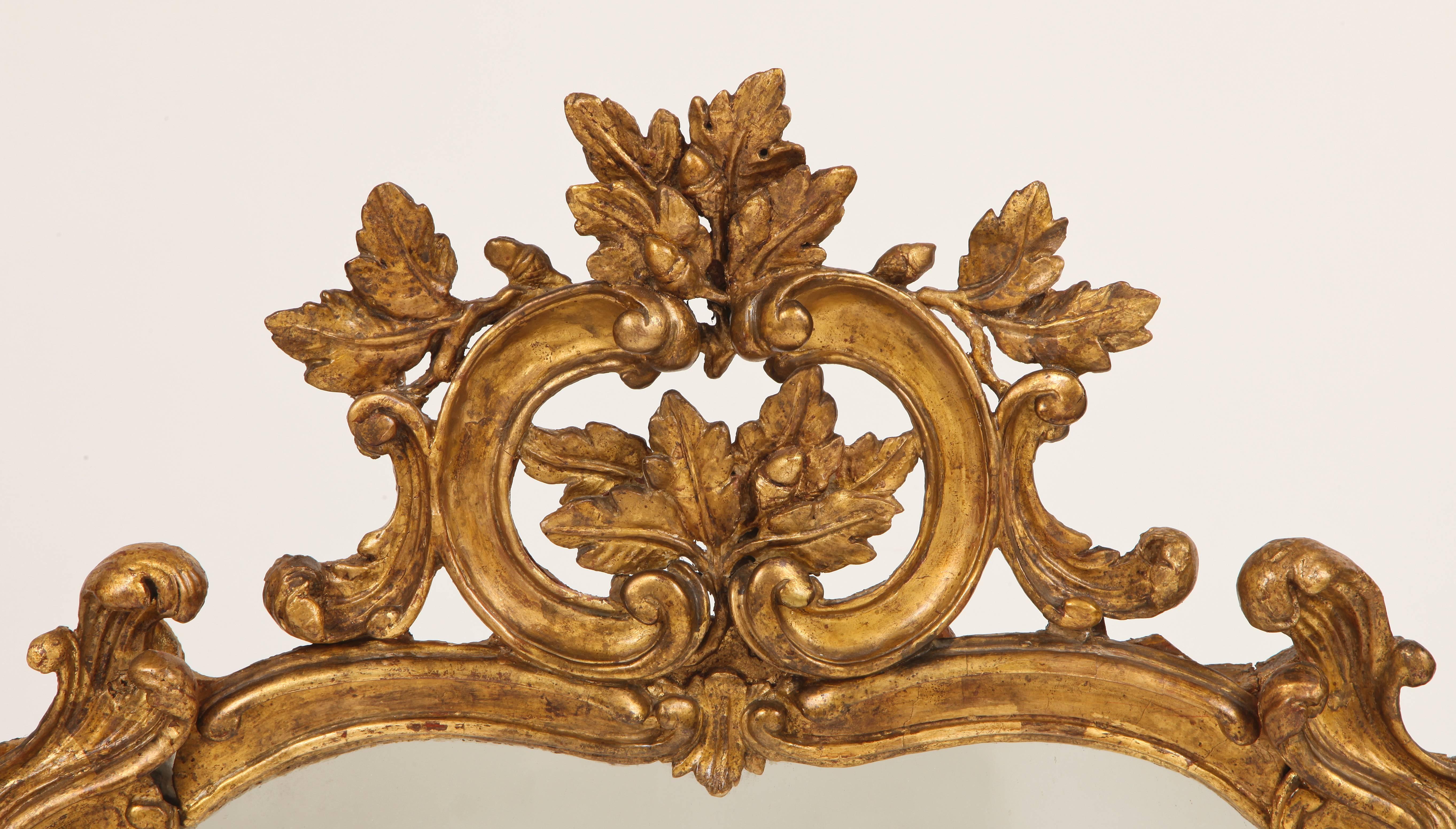 This fine French Louis XV period mirror has oak leaf and acorn decoration amidst C and S curves, epitomizing the Rococo style in gilded wood and mirror glass.