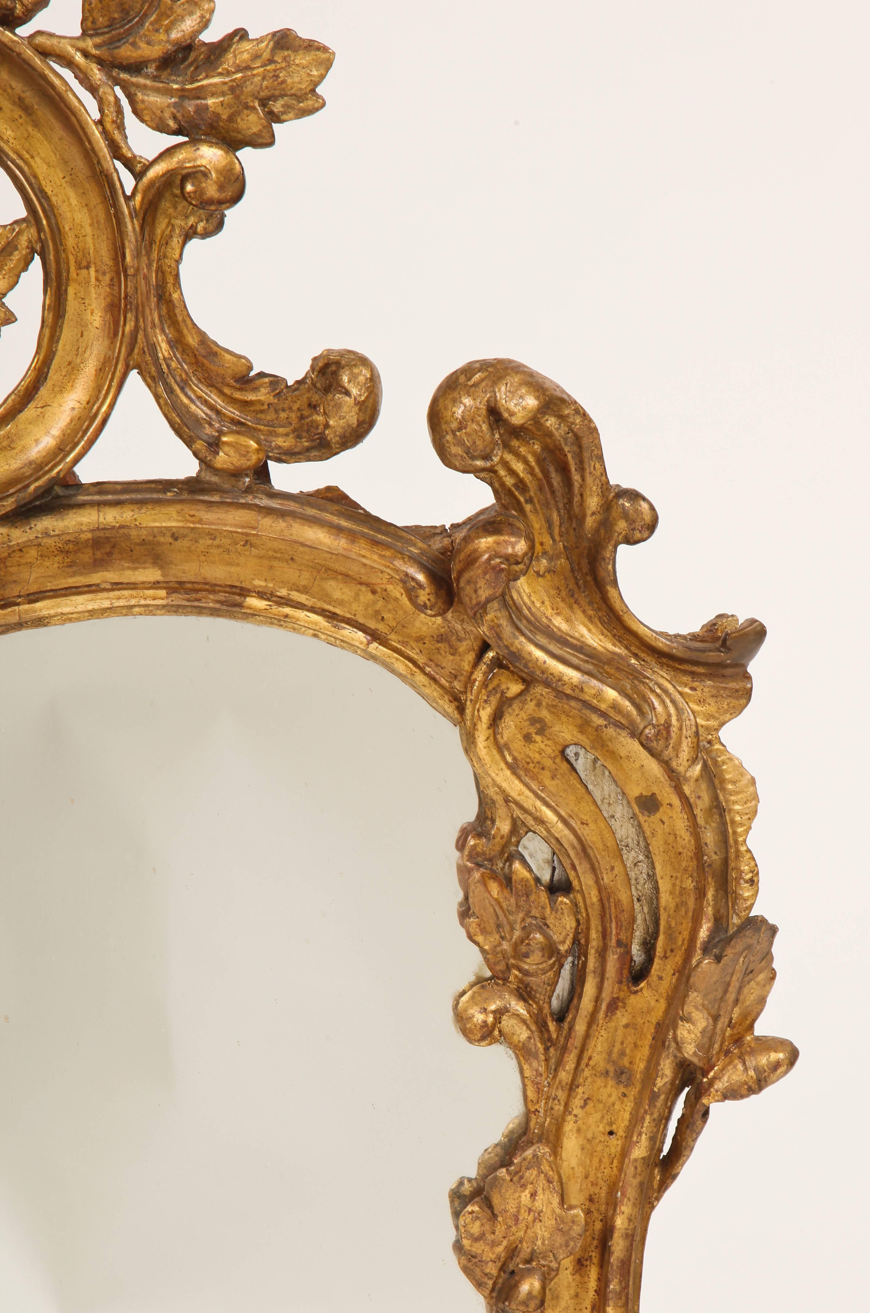 French Fine Louis XV Rococo Mirror For Sale