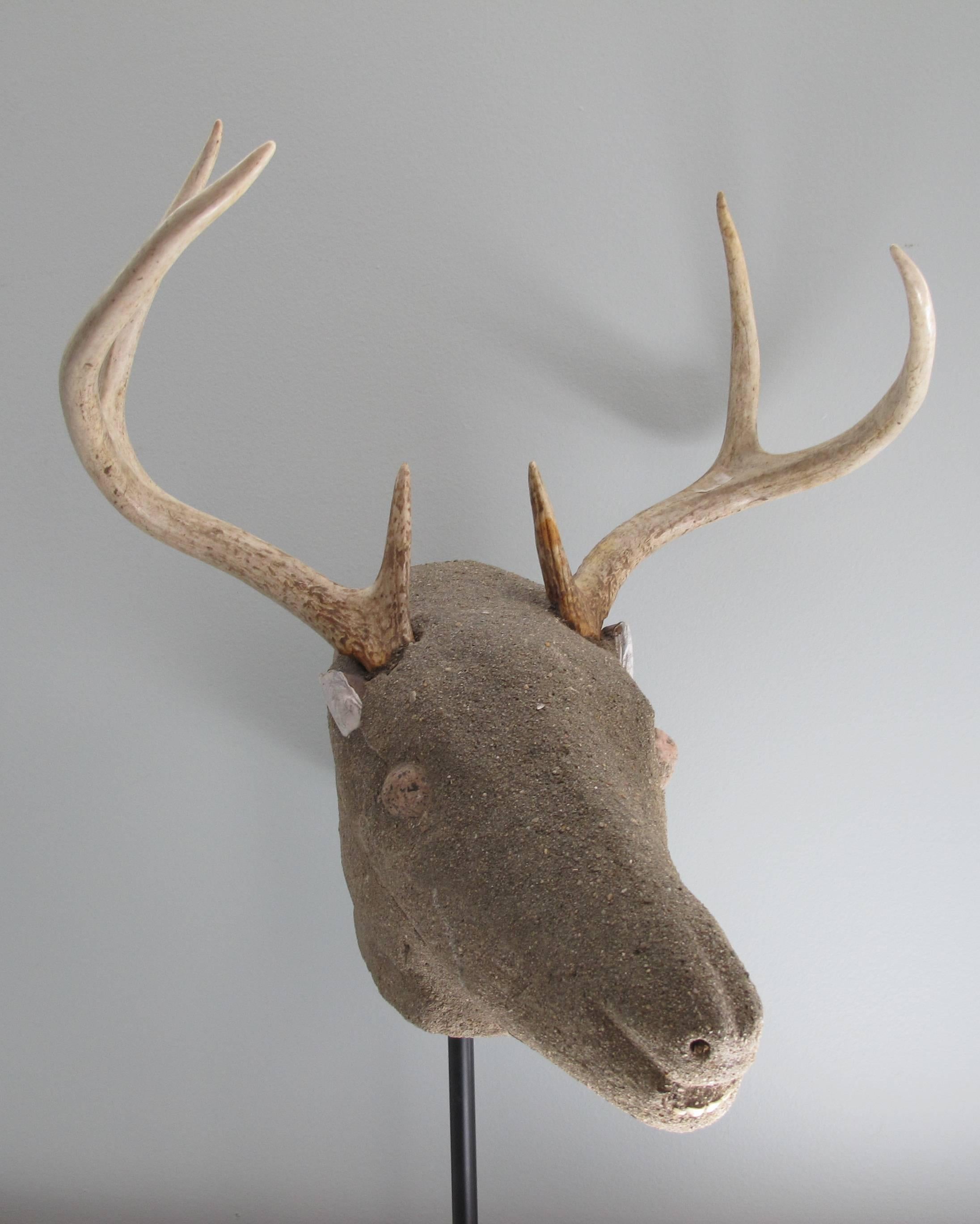 Unusual deer head with antlers stone eyes and shell ears made from cement. Made by unknown maker. who was a skilled cement worker. Mounted on modern metal stand (removable).
