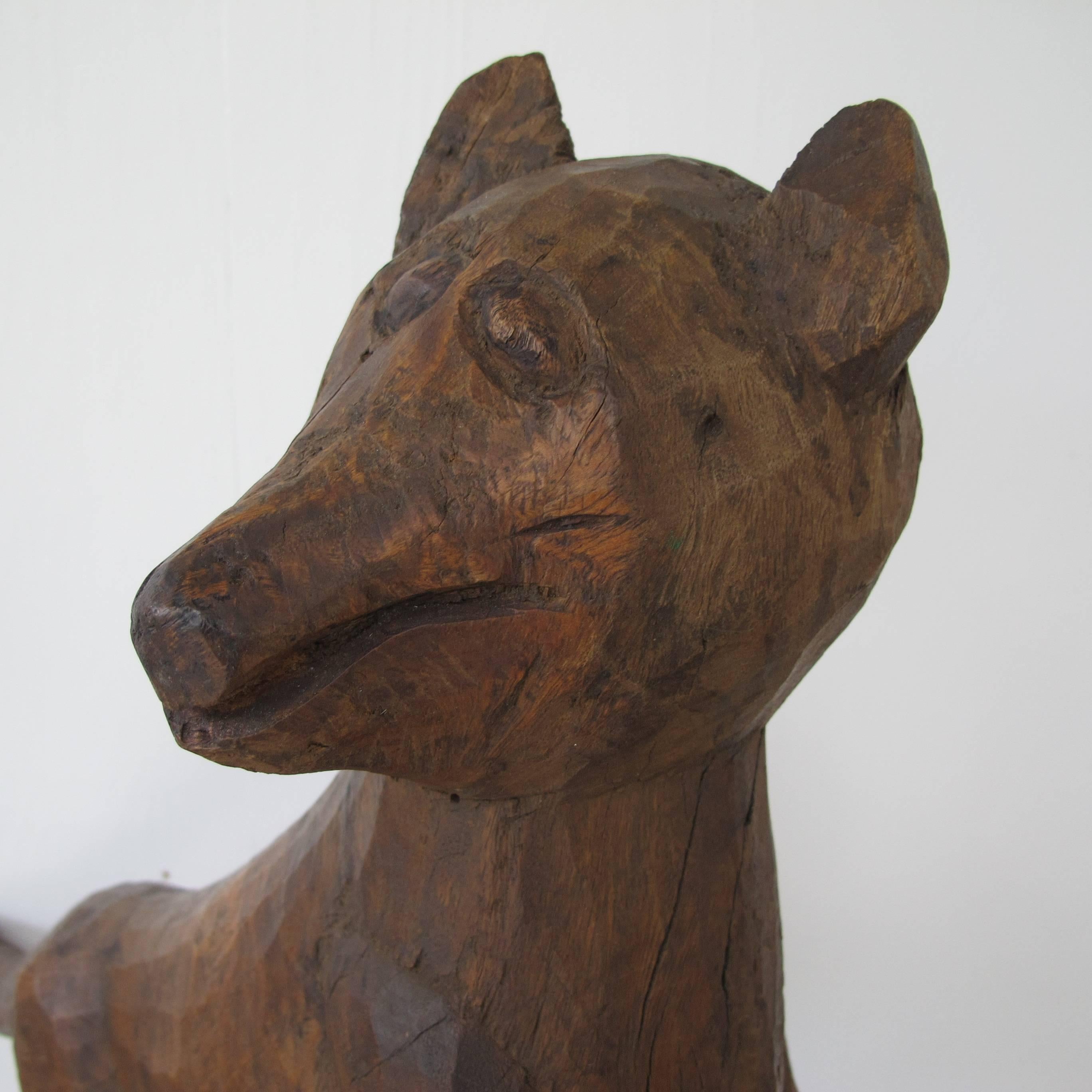 Dramatic folk sculpture of a fox in hunting stance as they pounce on field mice one of their favorite snacks. What animated the fox are the outstretched legs as well as the turned head. It has a nut brown surface which is probably from stain and