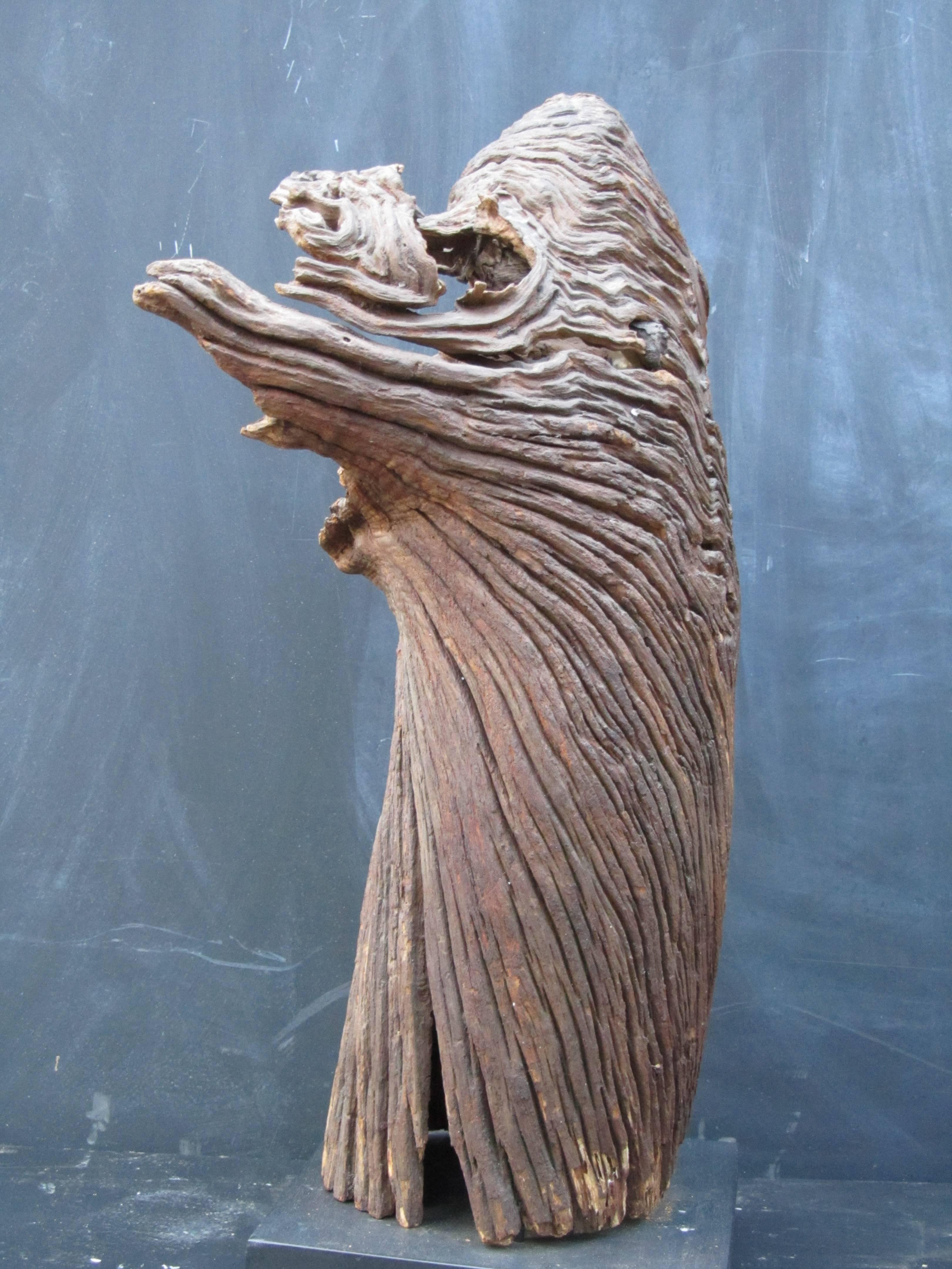 American Outsider Artist Jesse Aarron Sculpture of Spirit in the Tree For Sale
