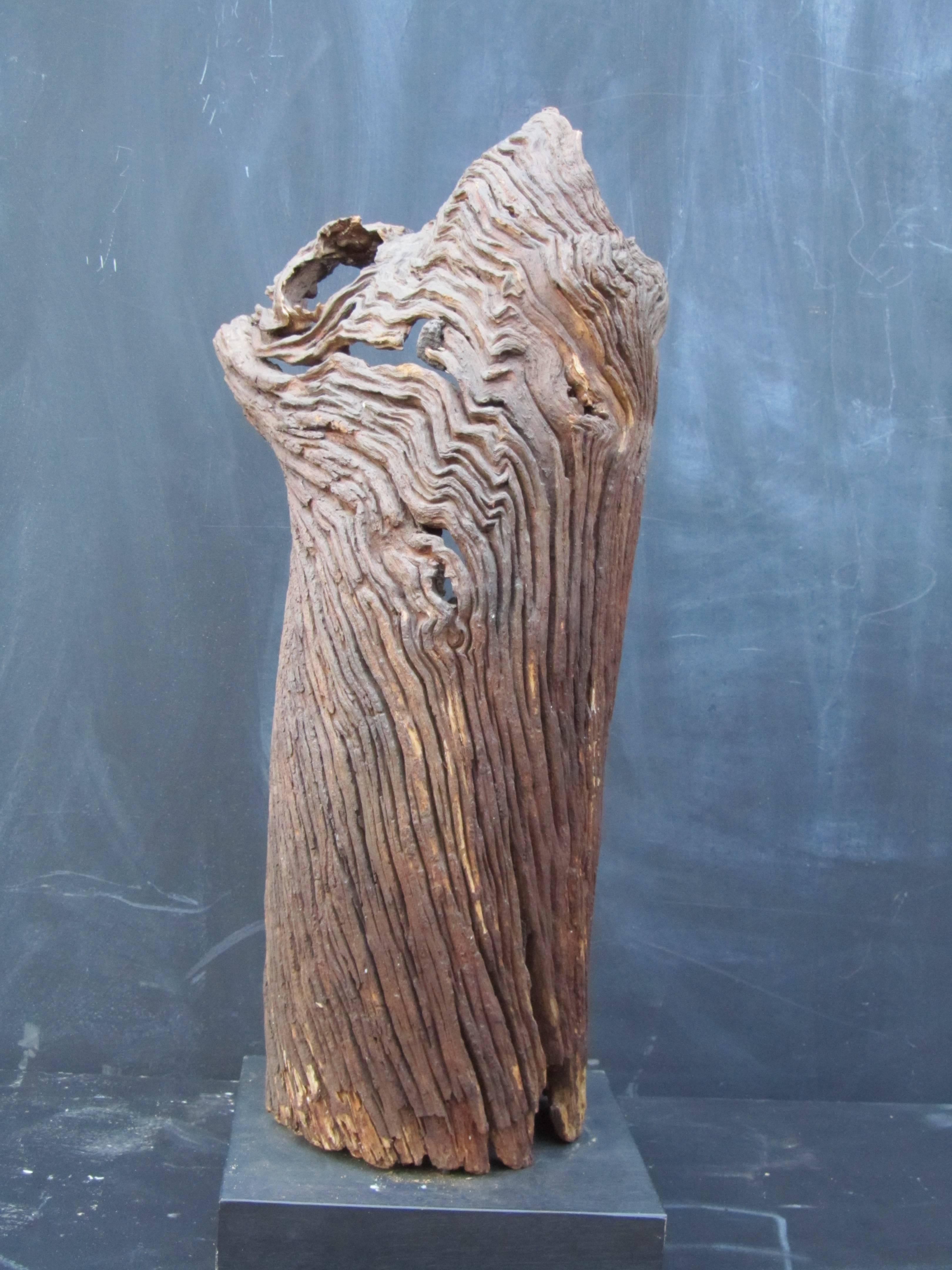 Late 20th Century Outsider Artist Jesse Aarron Sculpture of Spirit in the Tree For Sale