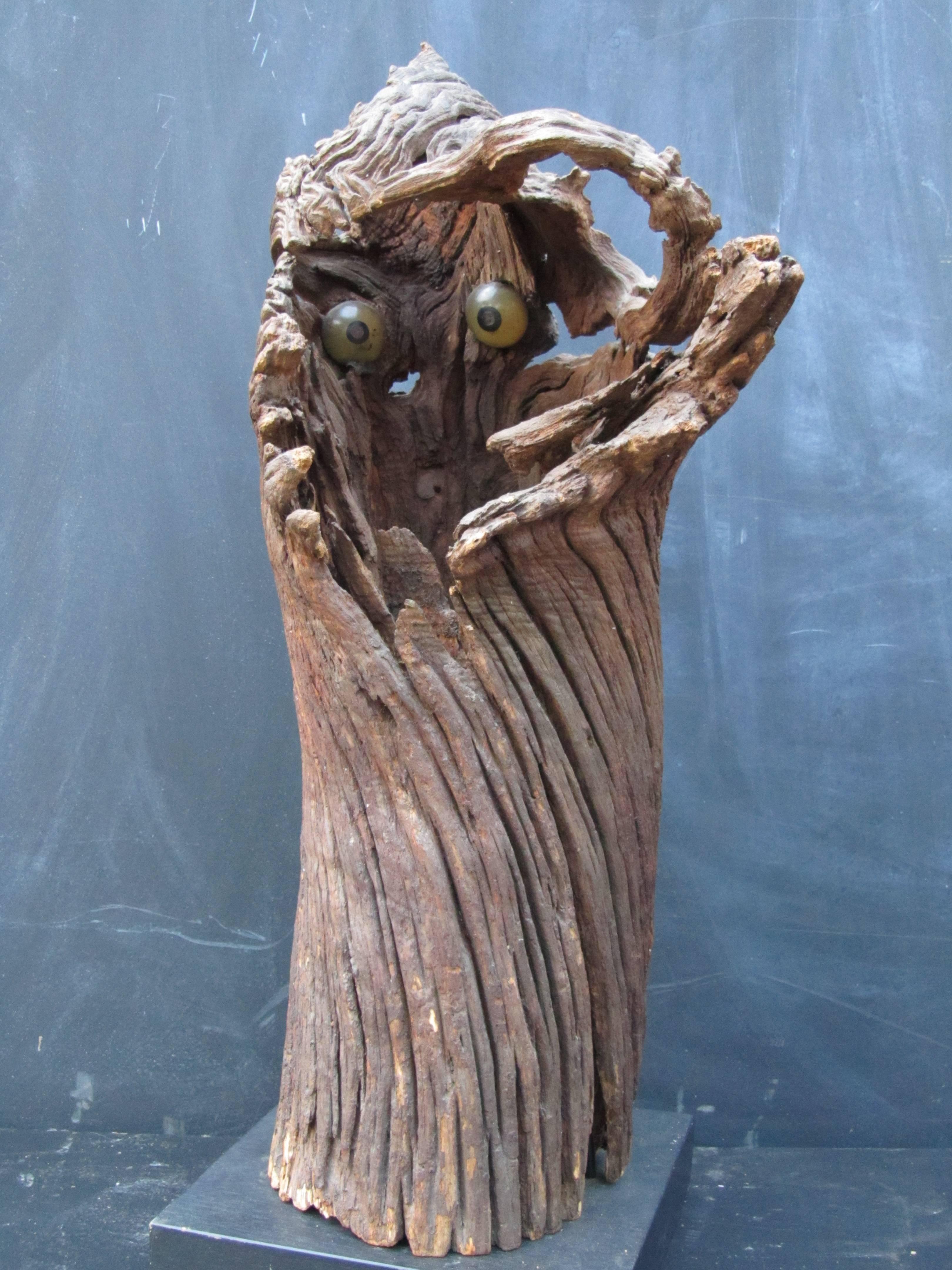 Wood Outsider Artist Jesse Aarron Sculpture of Spirit in the Tree For Sale