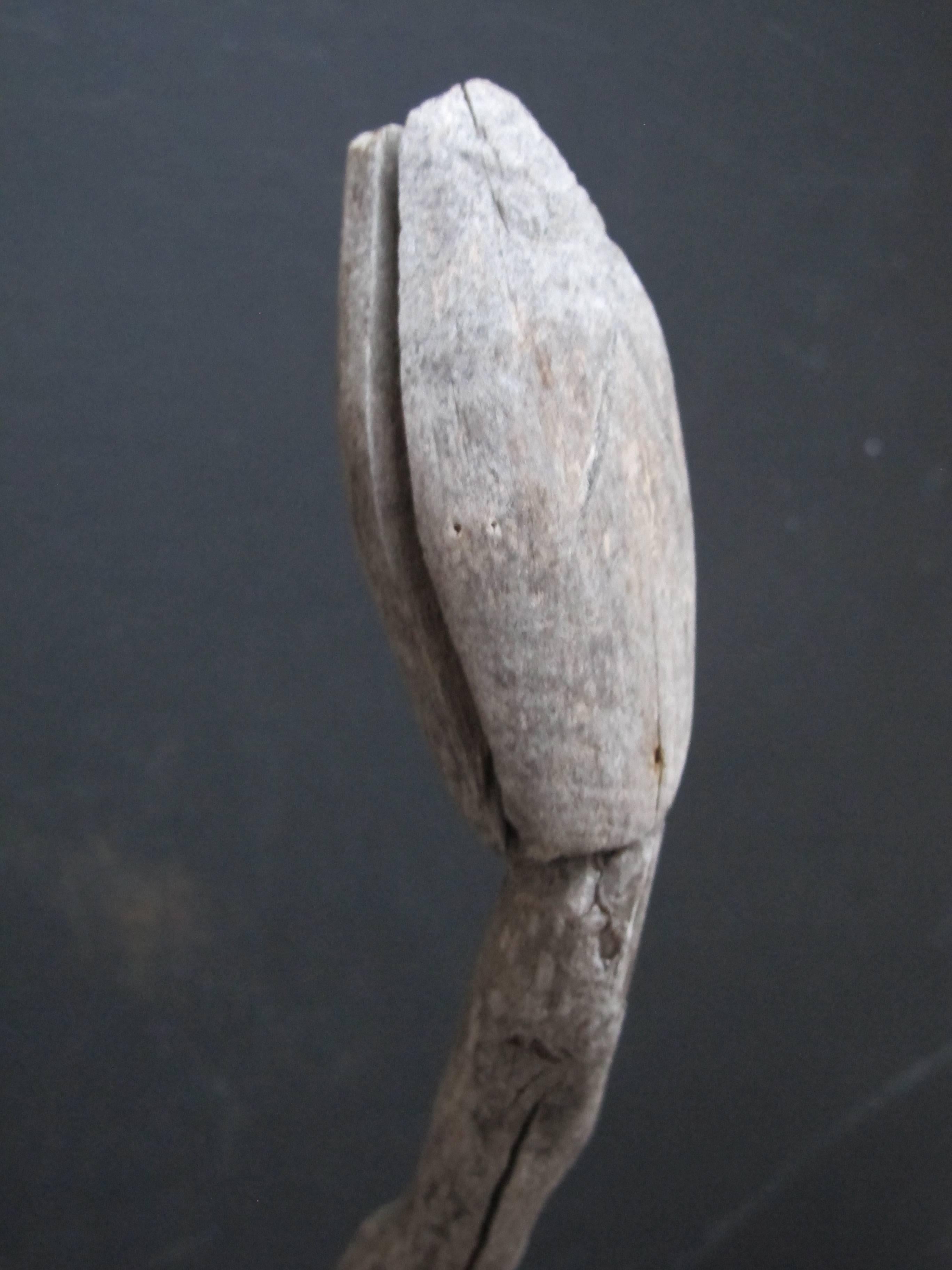 Natural Wood Antler Form Sculptural Tack Holder with Snake Heads For Sale 2