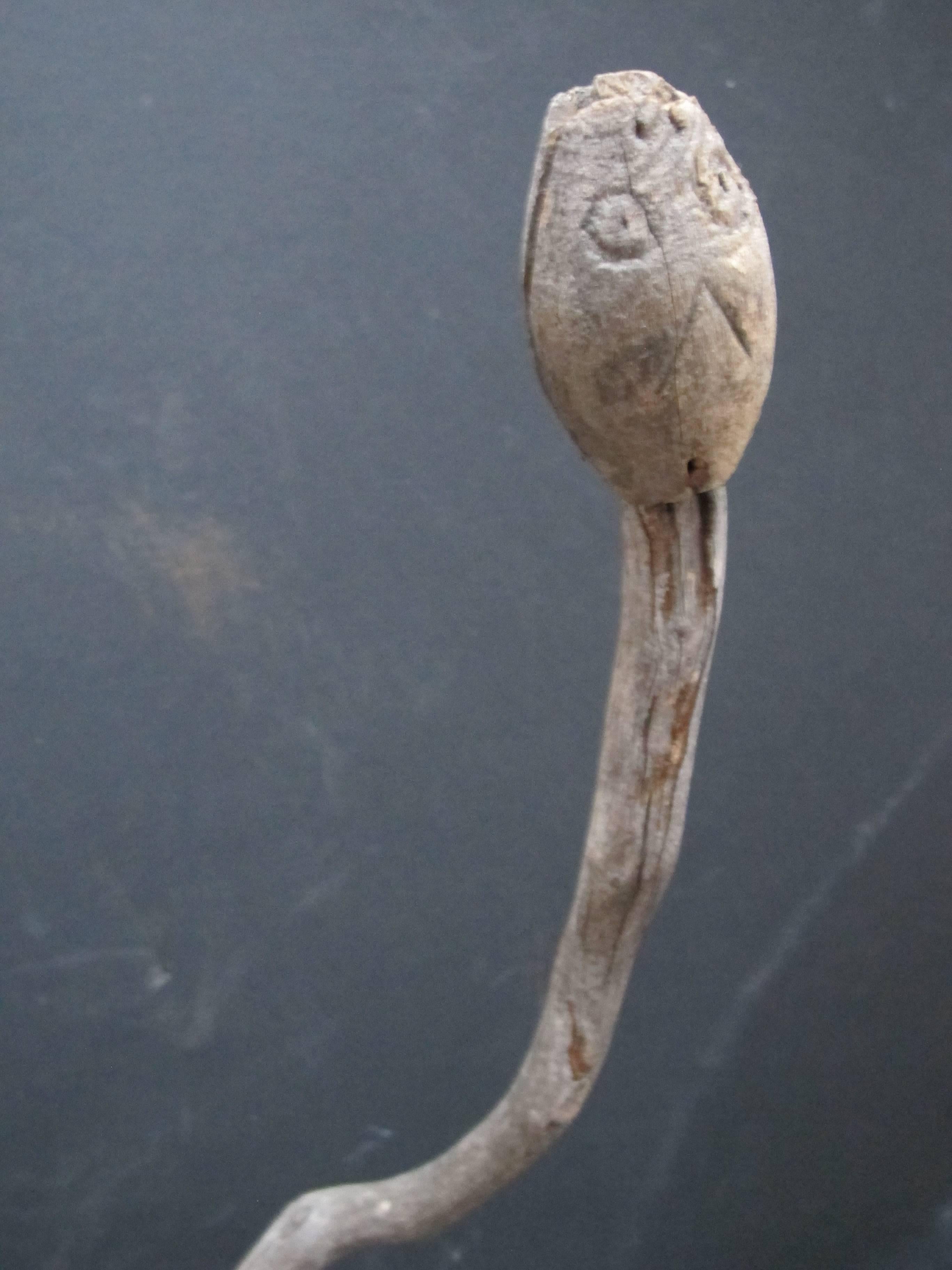 American Natural Wood Antler Form Sculptural Tack Holder with Snake Heads For Sale