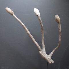 Natural Wood Antler Form Sculptural Tack Holder with Snake Heads