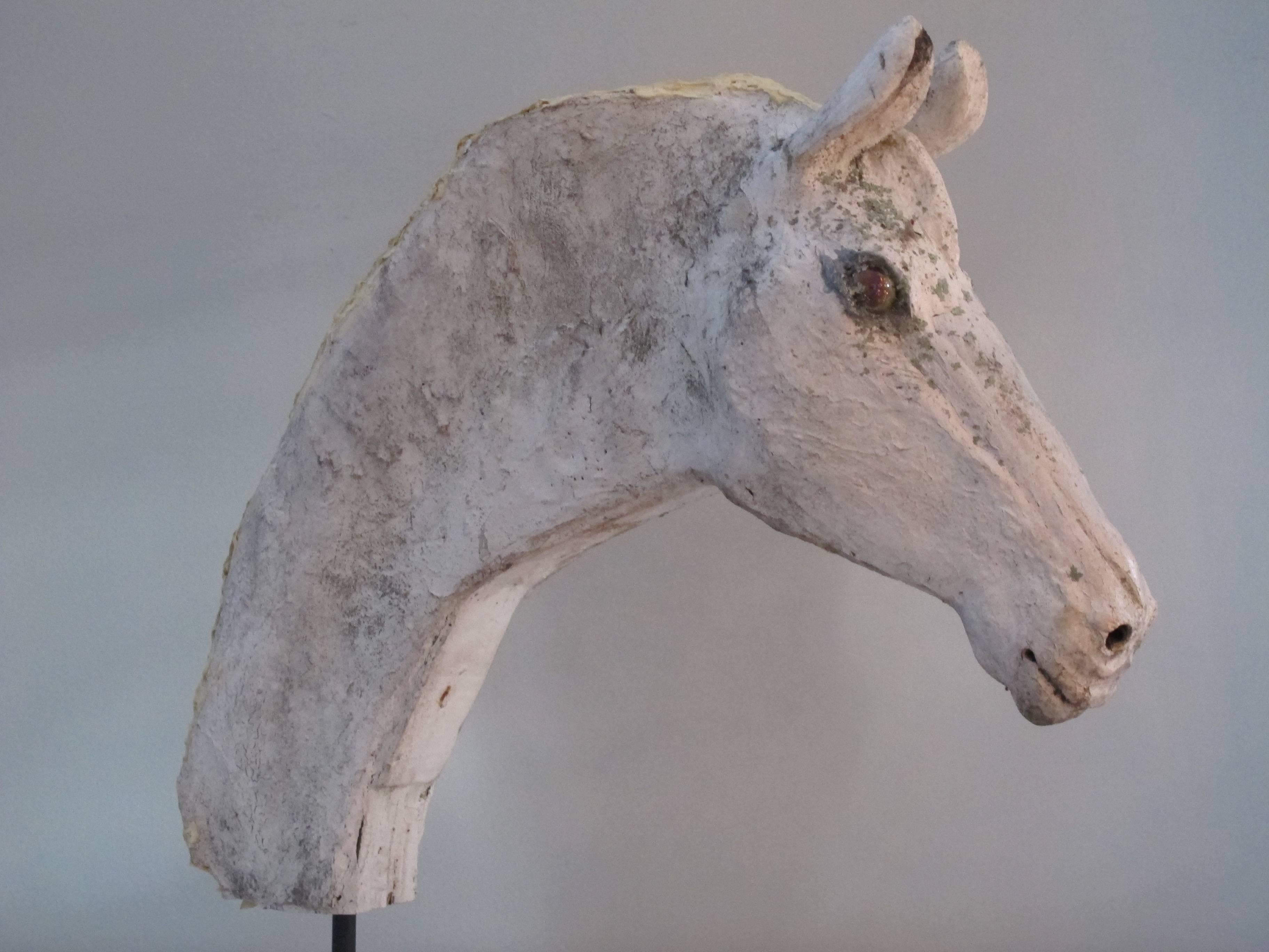 Horse Head by O.L.Samuels For Sale 2