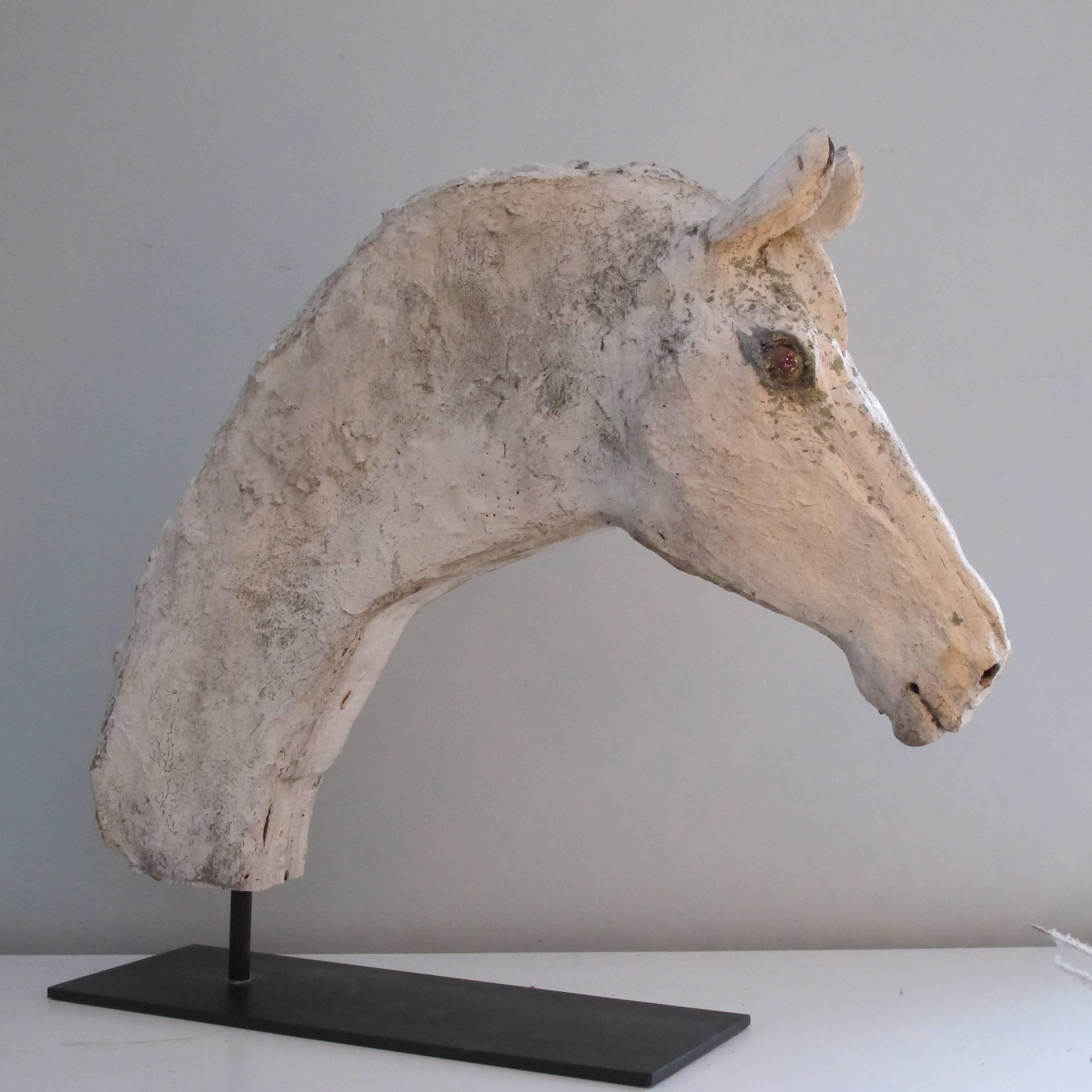 American Horse Head by O.L.Samuels For Sale