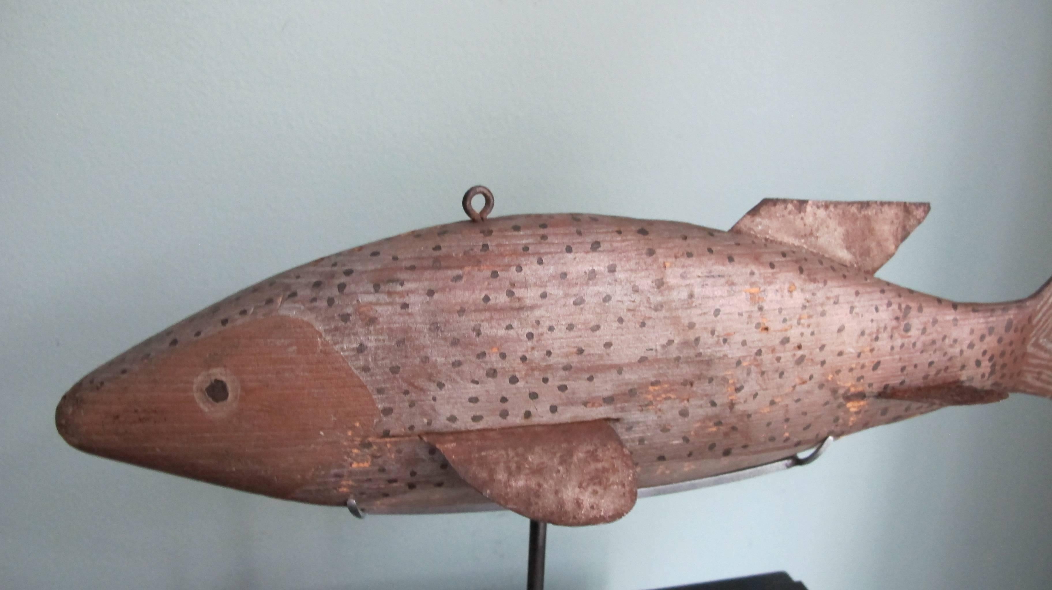 Trout ice fishing decoy of carved wood with tin fins and inset lead weights. The brown and silver grey fish has black spots and eye. The tail is chevron striped and bends to one side which would give the fish a curved trajectory when pulled from a