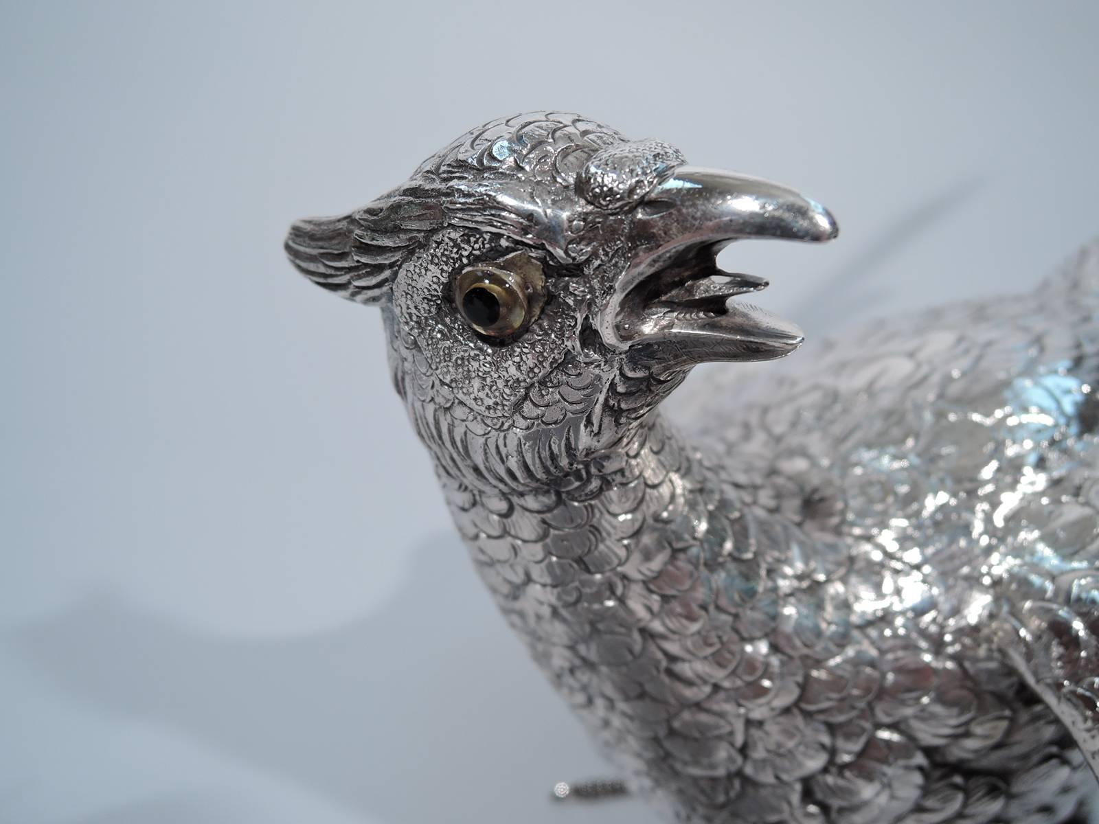 silver pheasants for sale