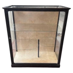 Japanese Taishō Period Ebonized Wood Display Vitrine, circa 1925