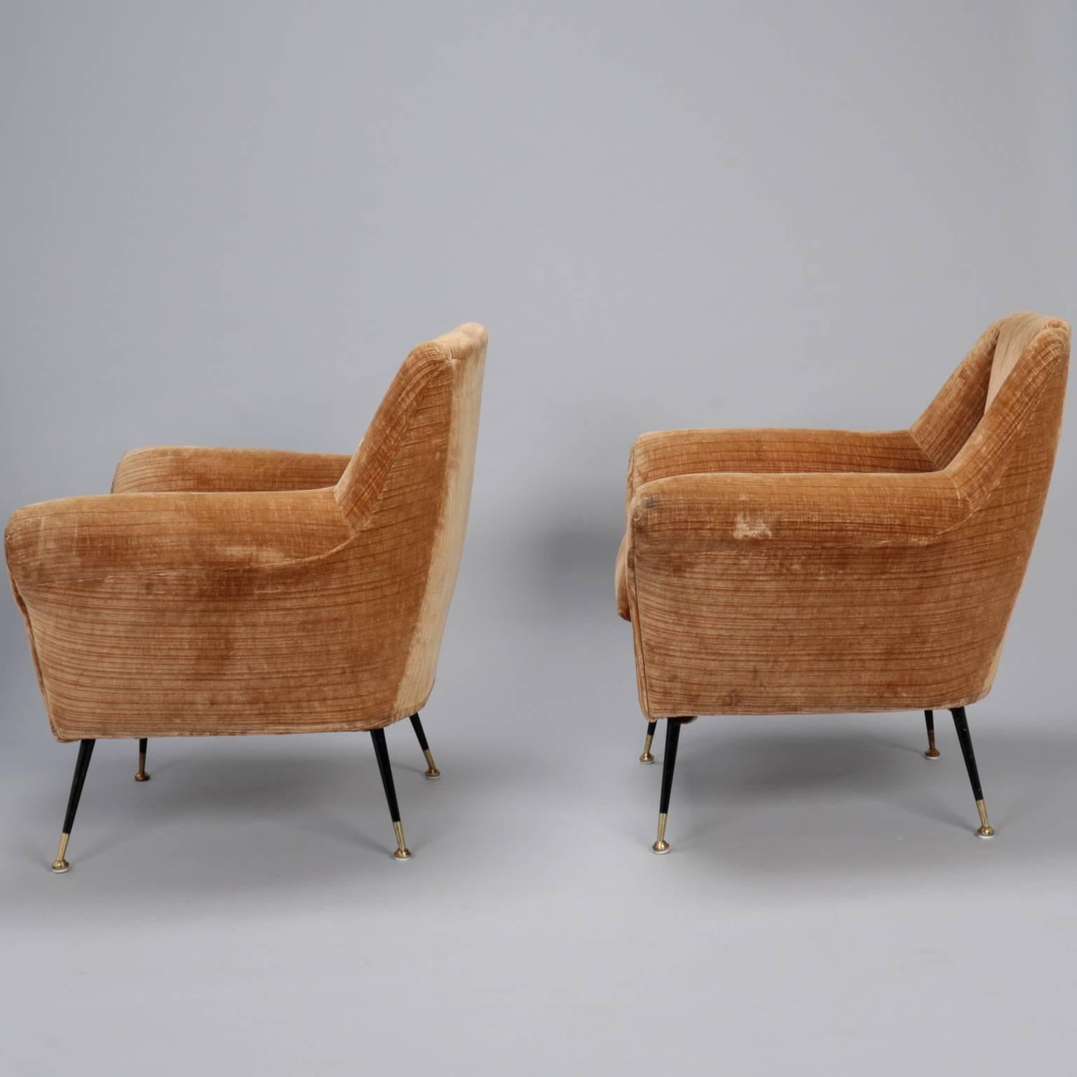 Mid-Century Modern Pair of Mid-Century Gigi Radice for Minotti Velvet Covered Armchairs