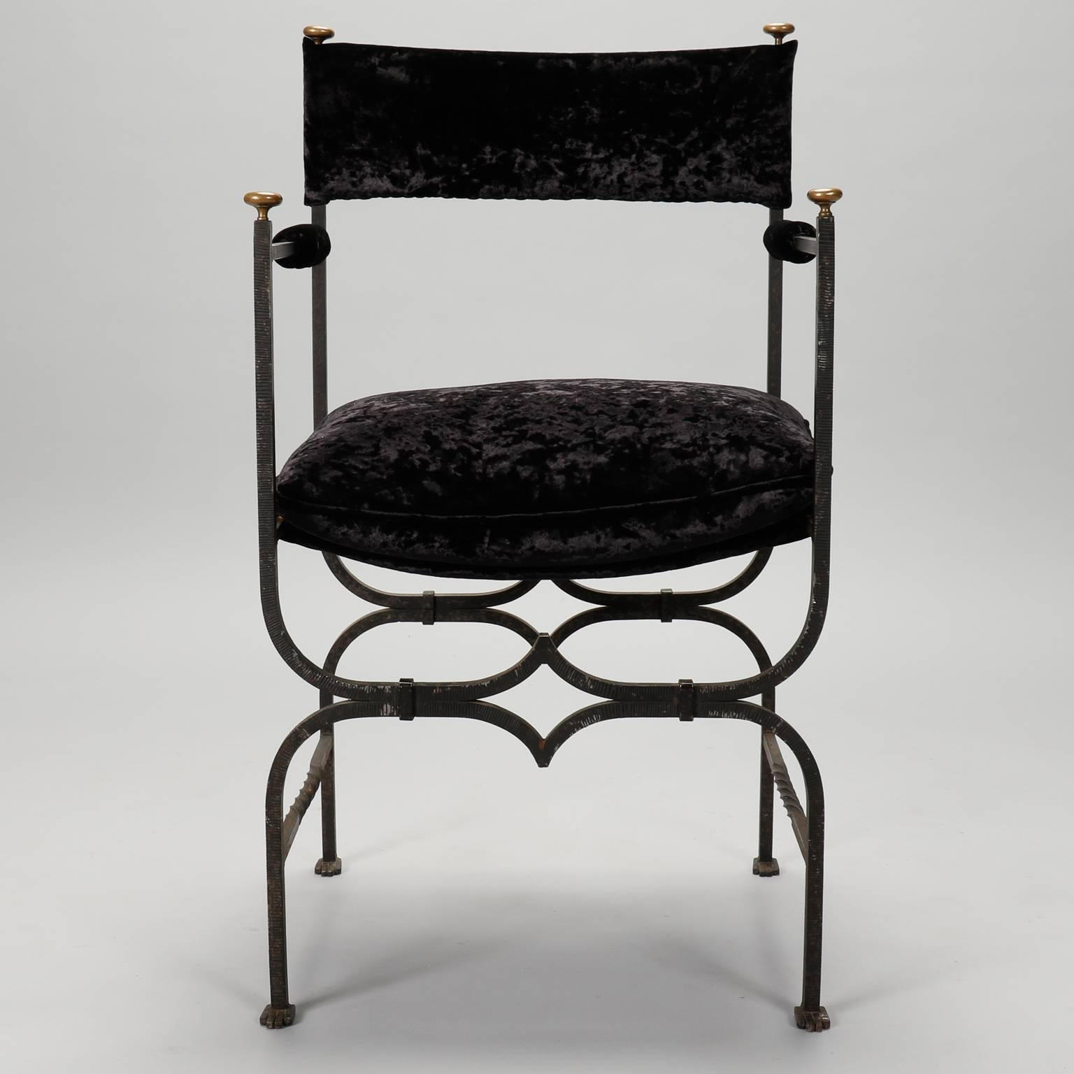 French Empire Style Iron and Velvet Chair 3