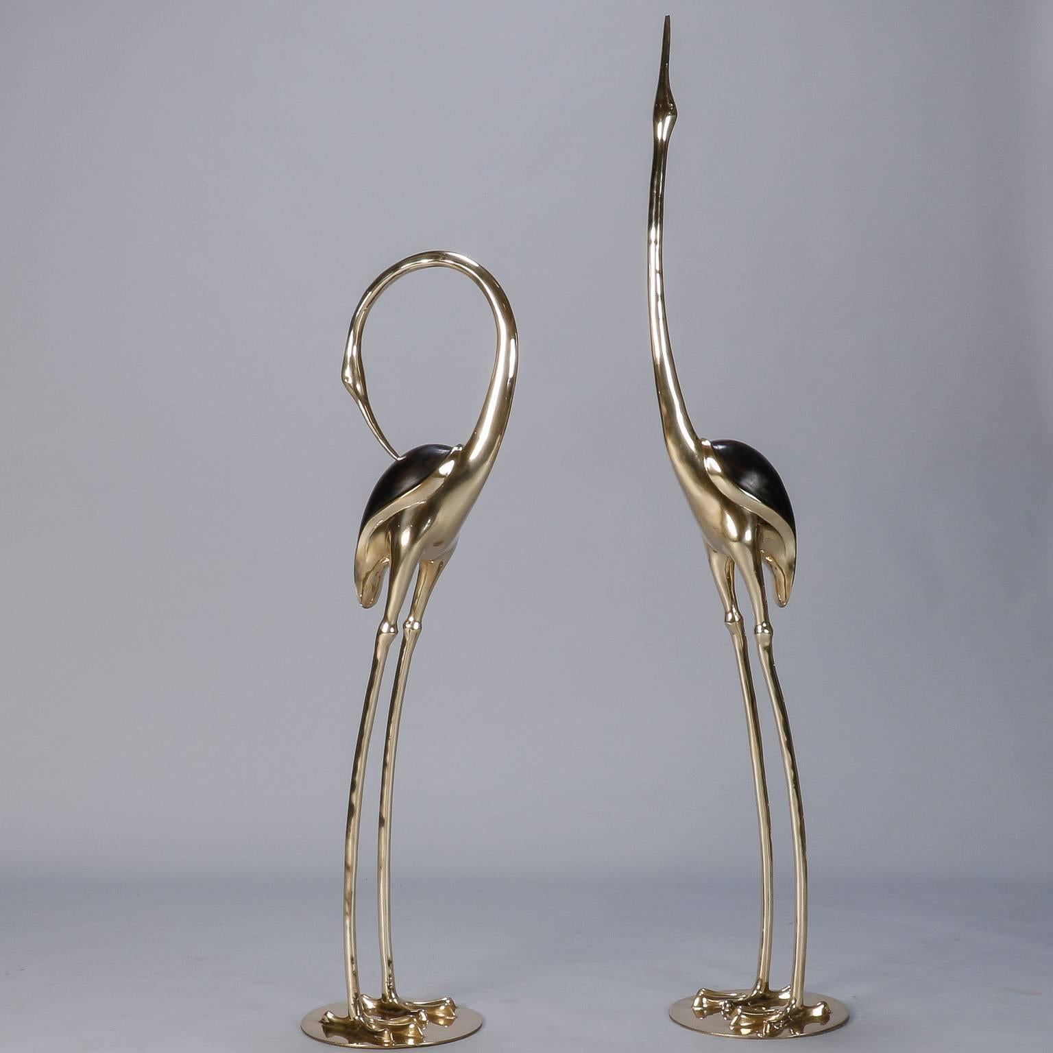 Found in Belgium, this circa 1970s very tall pair of solid polished brass herons or cranes has a lot of visual impact. The taller crane with the outstretched neck is 70” high and the other is 54” tall. The brass on the bird’s backs has a dark stain