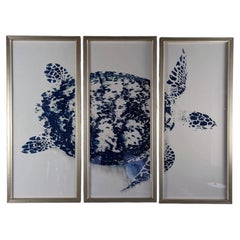 Trowbridge Gallery Stuart Redler Blue Turtle Photograph Triptych