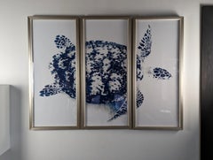 Trowbridge Gallery Stuart Redler Blue Turtle Photograph Triptych