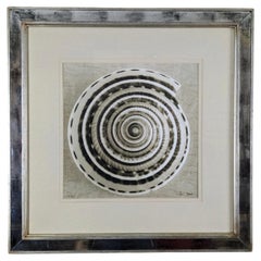 Trowbridge Gallery Ben Wood Sundial Shell Sepia Marine Photography Art Print