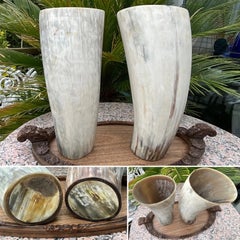 Pair Large Ankole Cattle Horn Vases Natural African Polished 12.5"