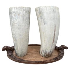 Pair Large Ankole Cattle Horn Vases Natural African Polished 12.5"